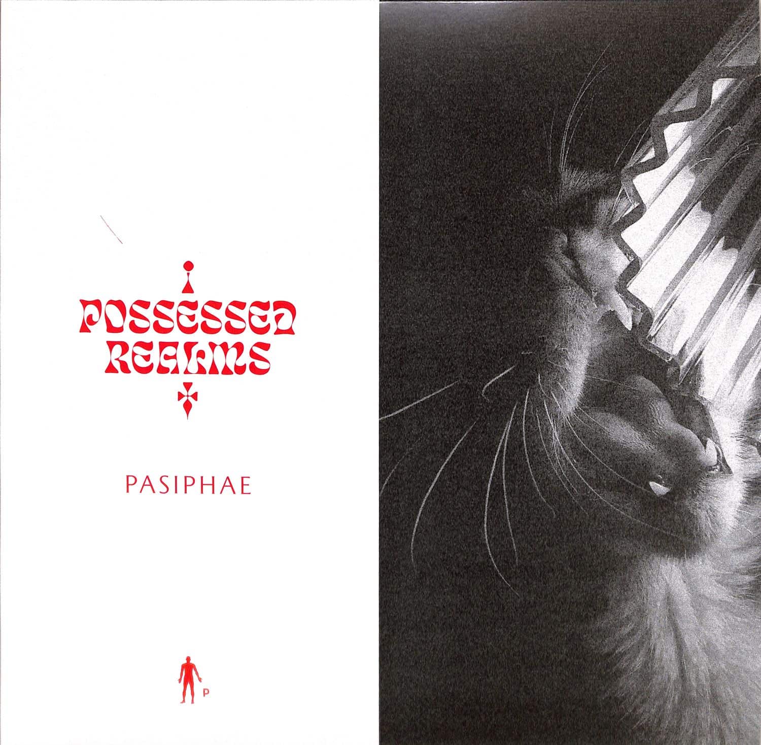 Pasiphae - POSSESSED REALMS