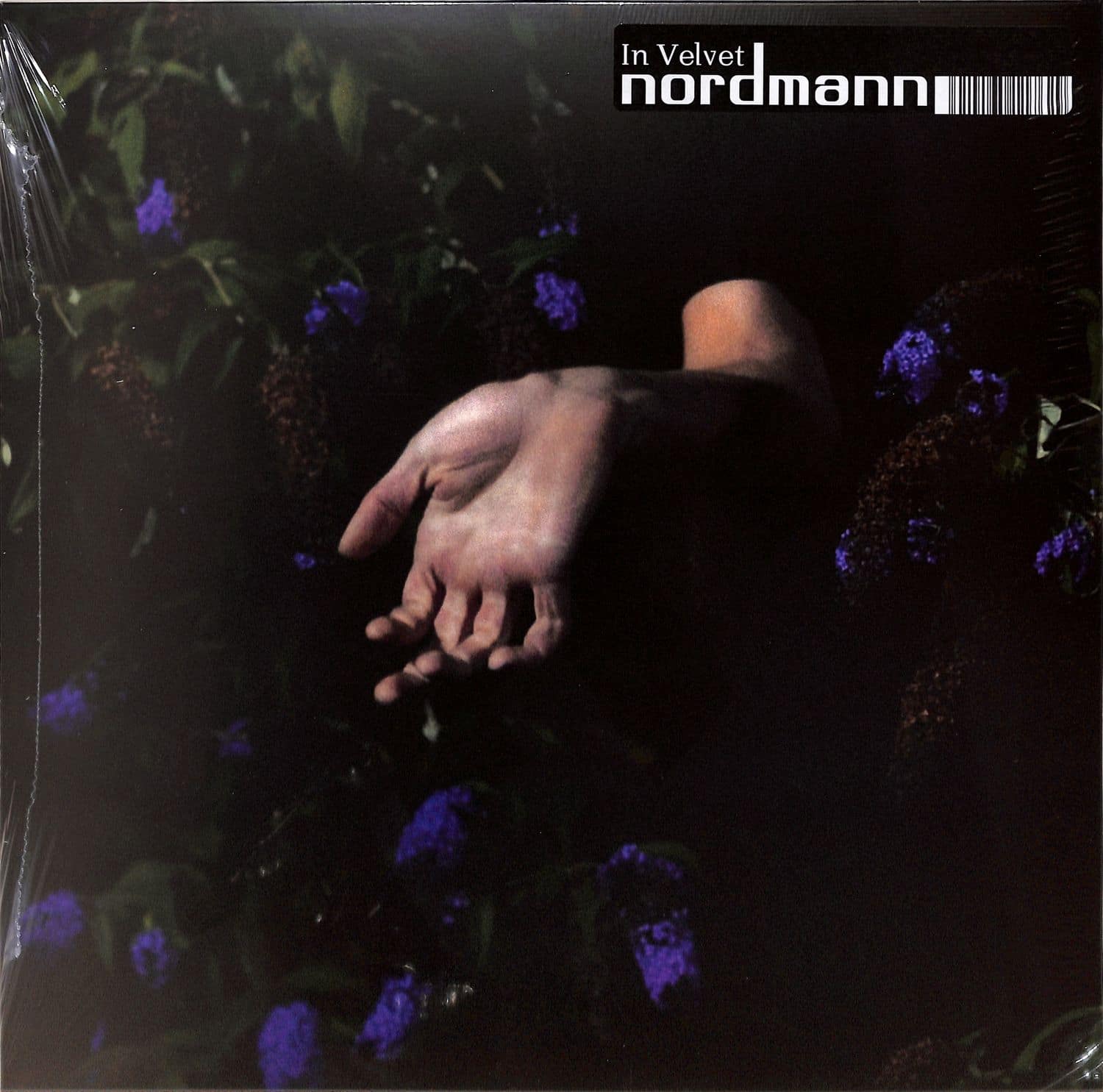 Nordmann - IN VELVET 