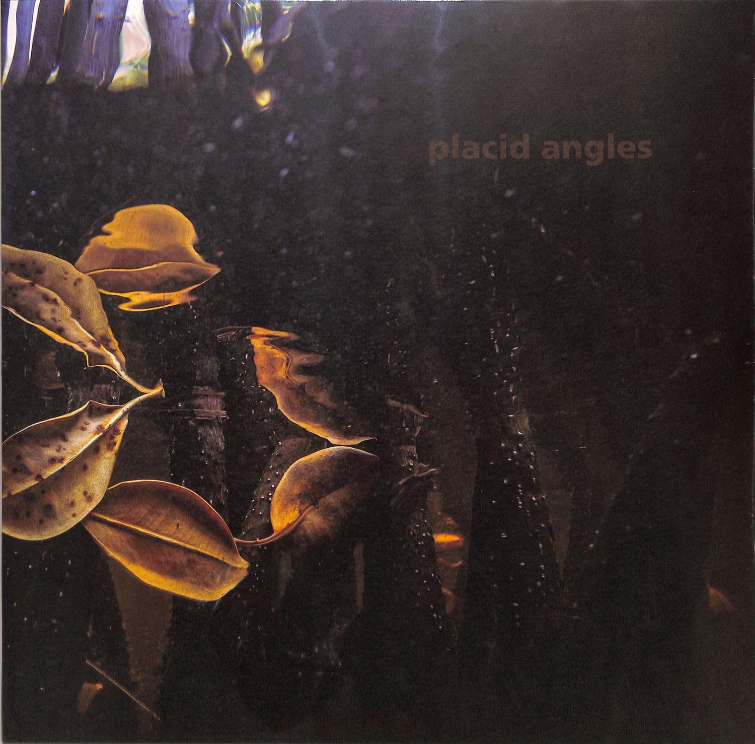 Placid Angles - TOUCH THE EARTH 