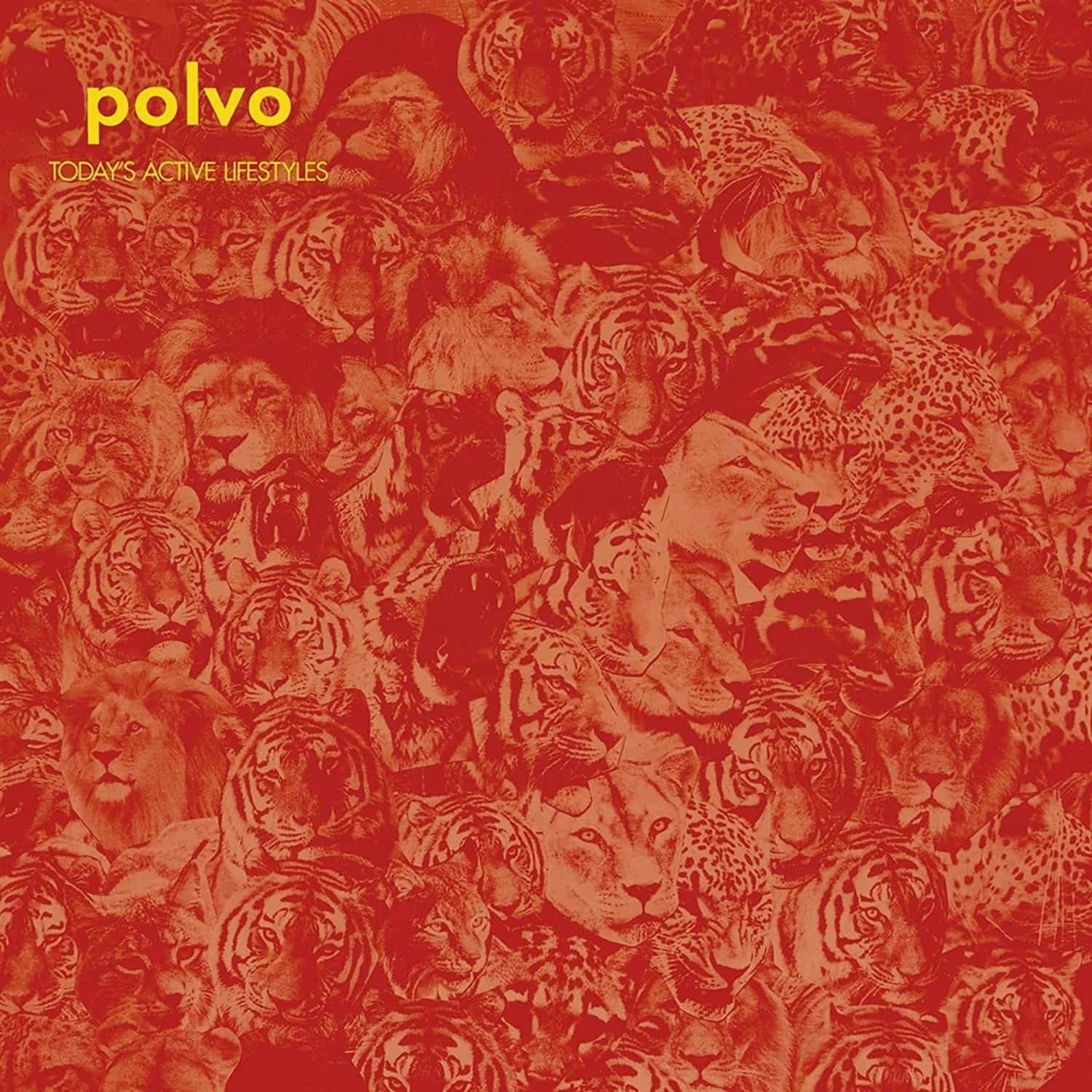 Polvo - TODAY S ACTIVE LIFESTYLES 