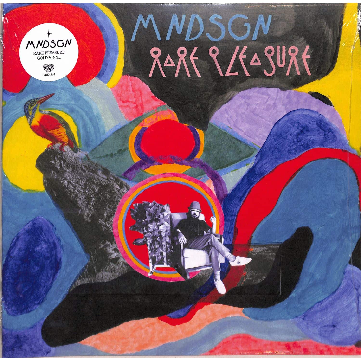 Mndsgn - RARE PLEASURE 
