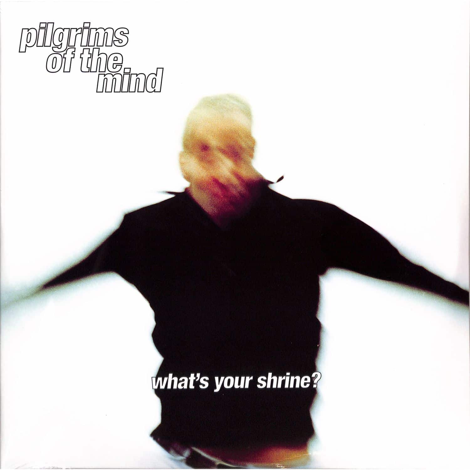 Pilgrims Of The Mind - WHATS YOUR SHRINE? 