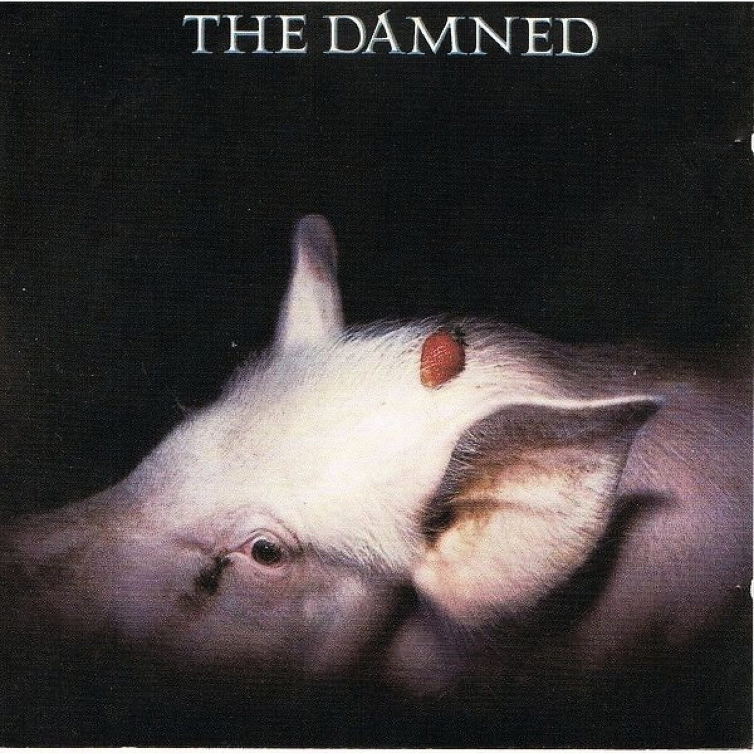 The Damned - STRAWBERRIES 