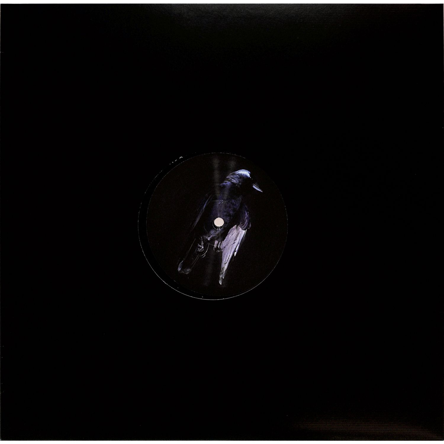 Rico Friebe - SHOOK 