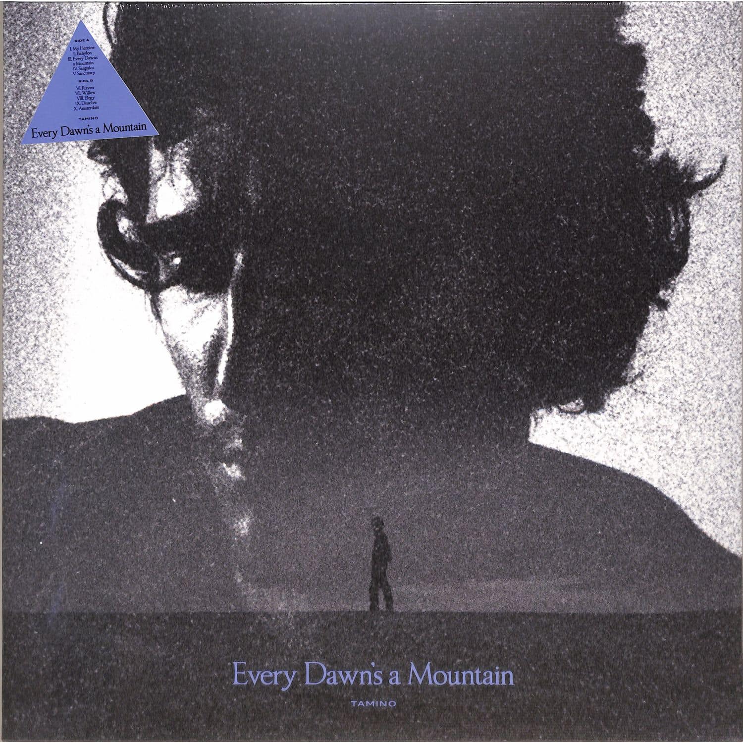 Tamino - EVERY DAWN S A MOUNTAIN 