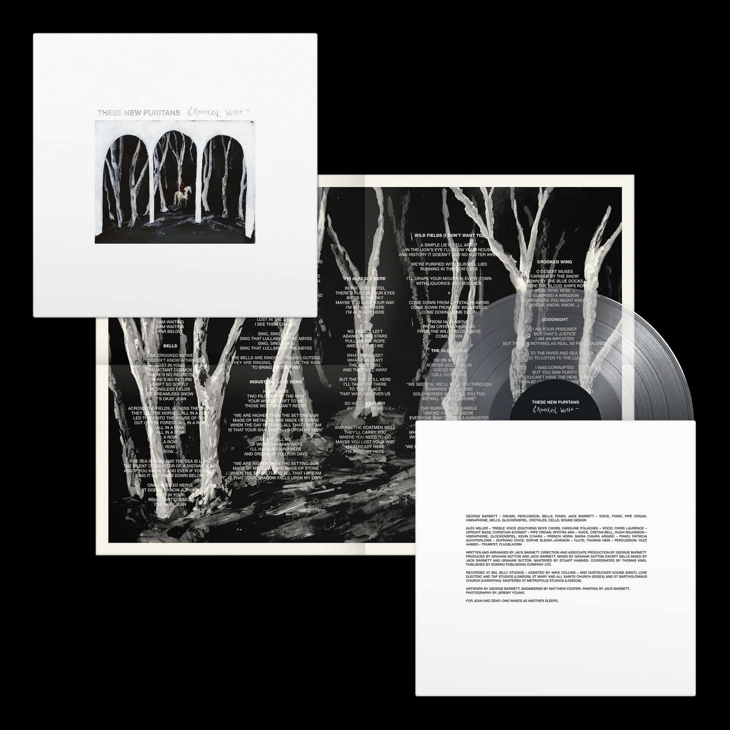 These New Puritans - CROOKED WING 