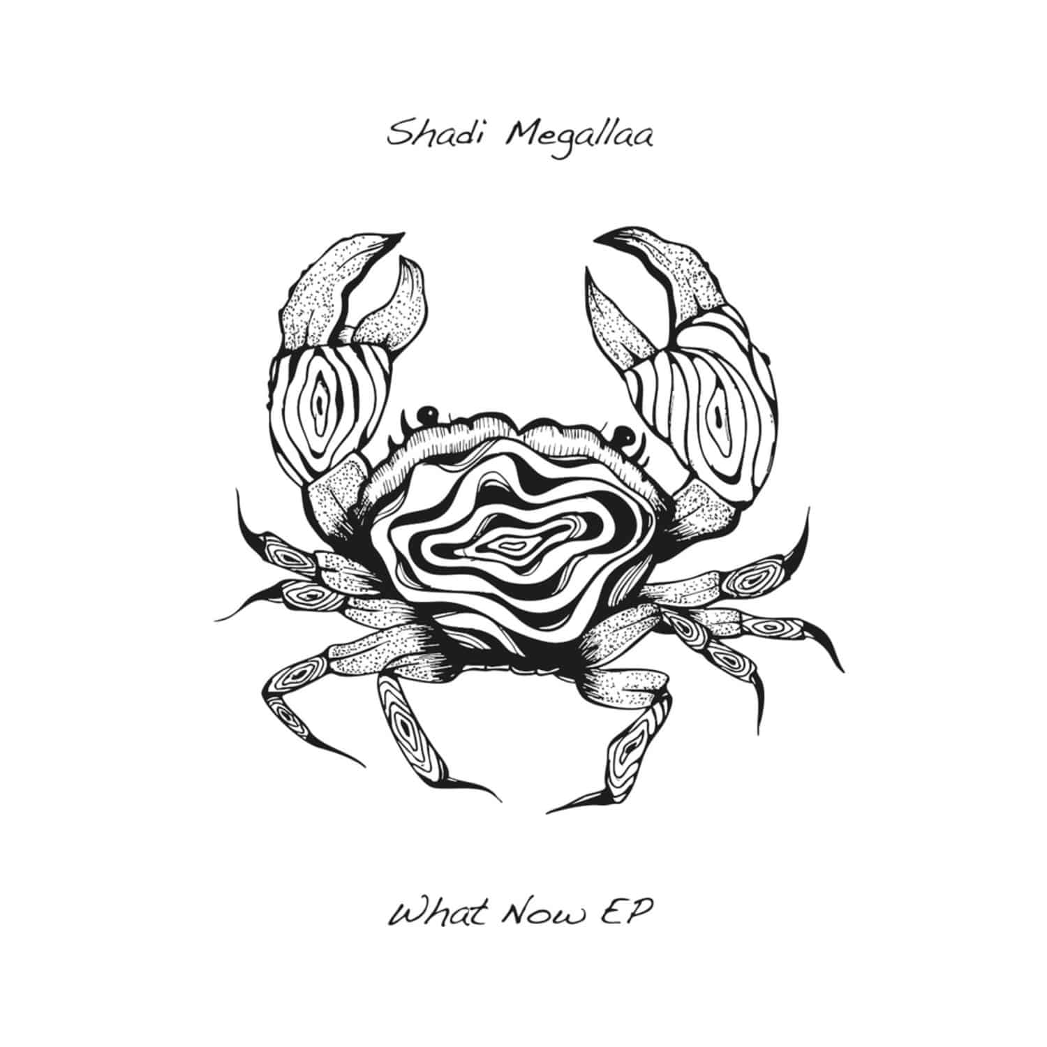 Shadi Megallaa - WHAT NOW
