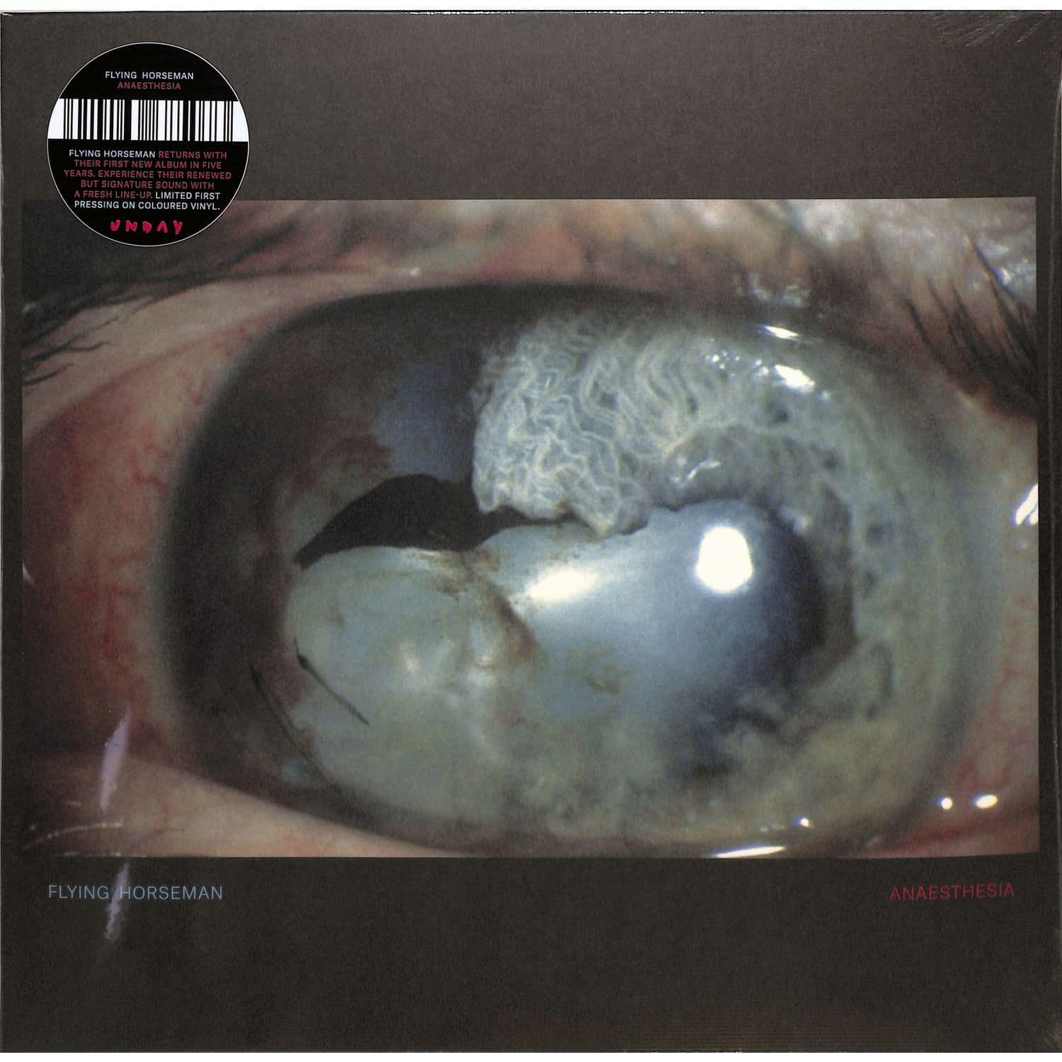 Flying Horseman - ANAESTHESIA 