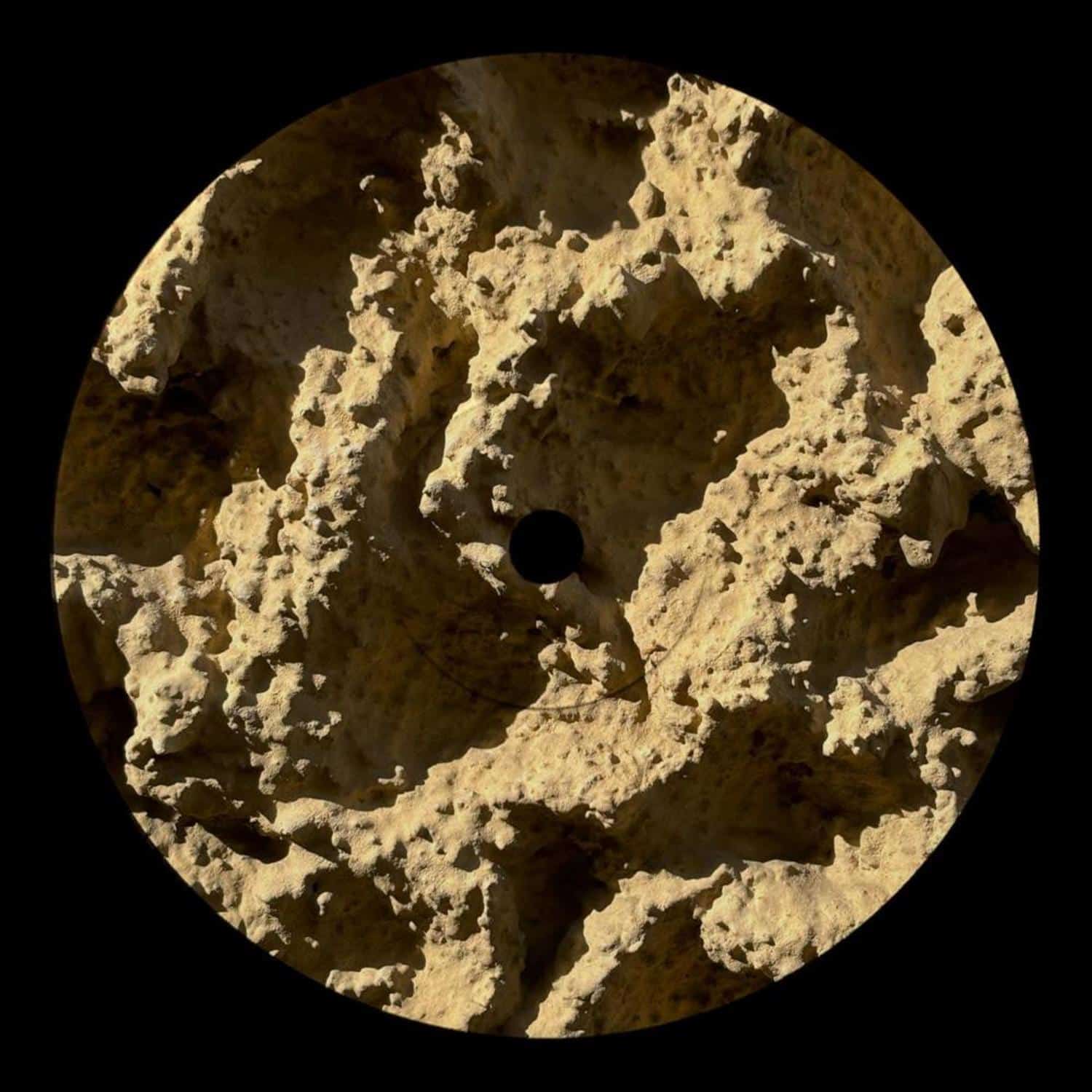 Franco Rossi - PHYLLOPHAGA 