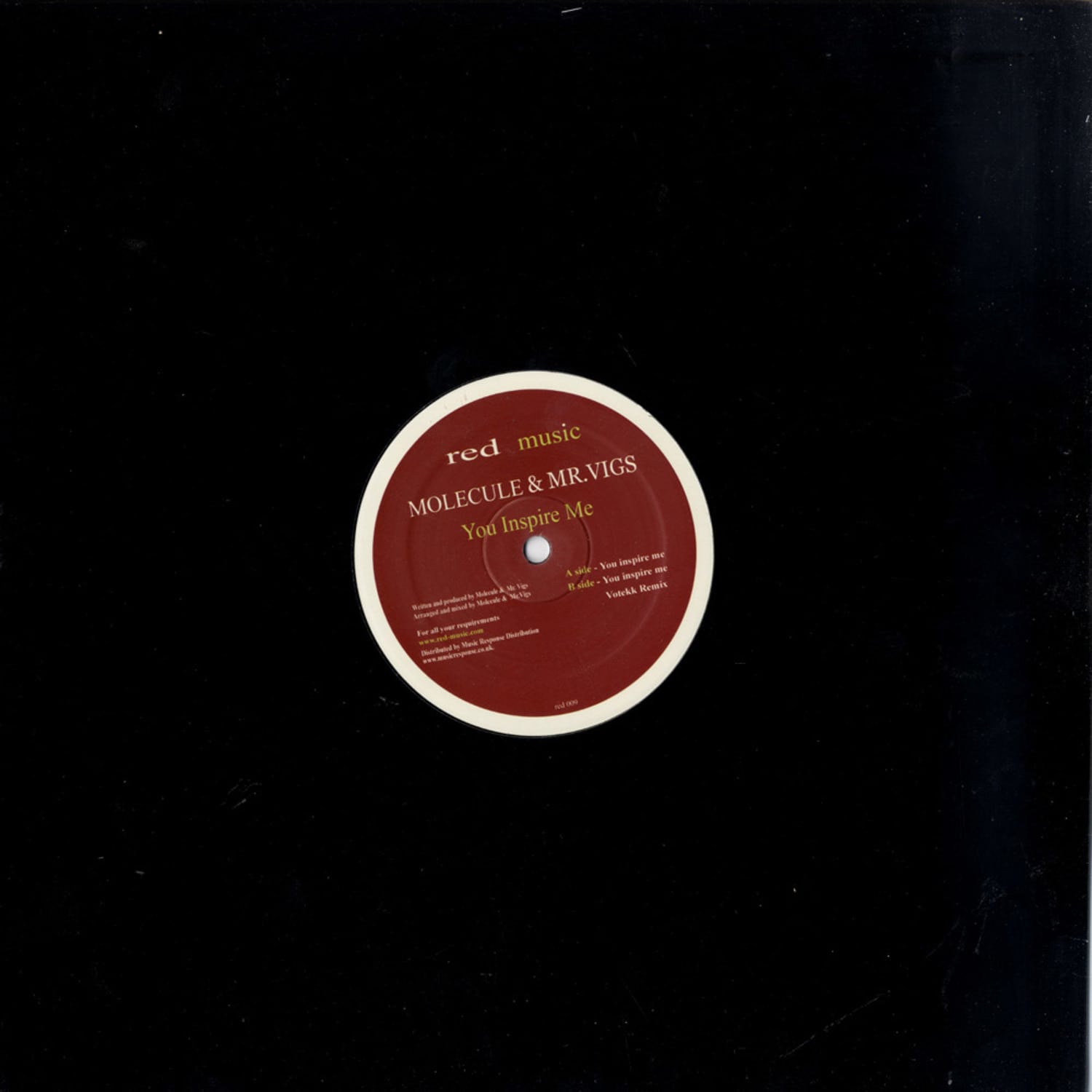 Molecule & Mr Vigs - YOU INSPIRE ME