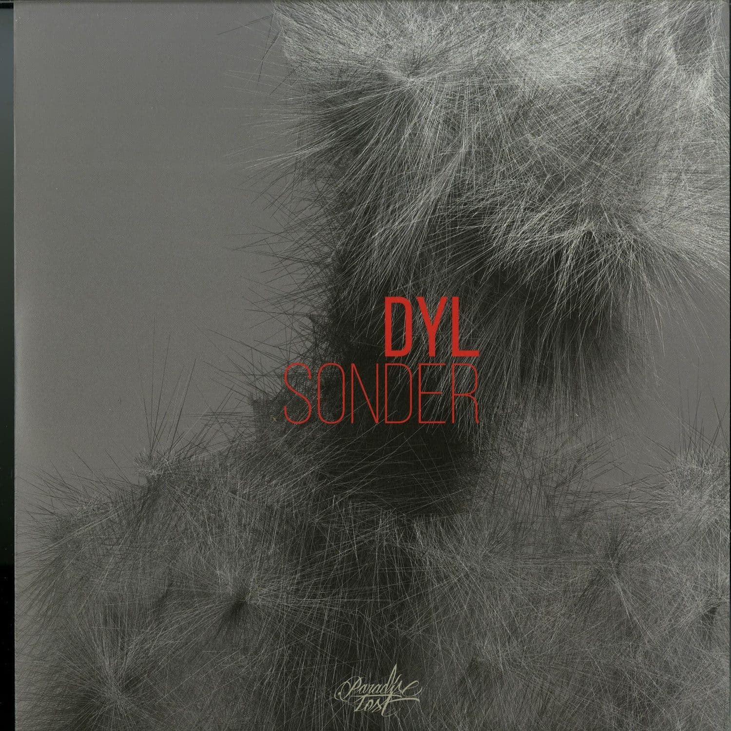 DYL - SONDER 