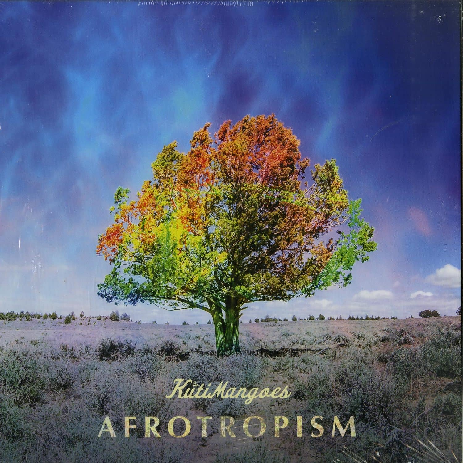 The Kuti Mangoes - AFROTROPISM 