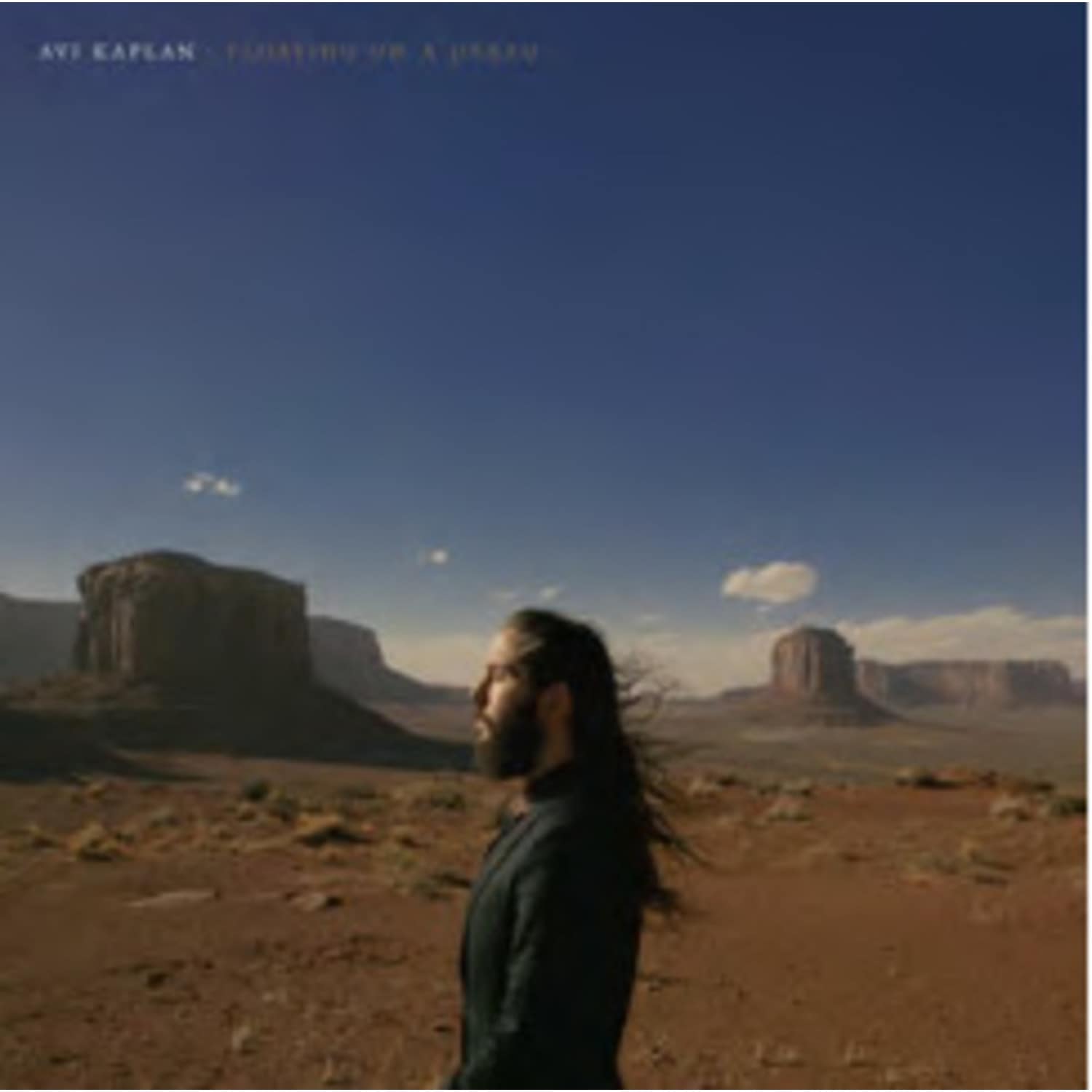 Avi Kaplan - FLOATING ON A DREAM 