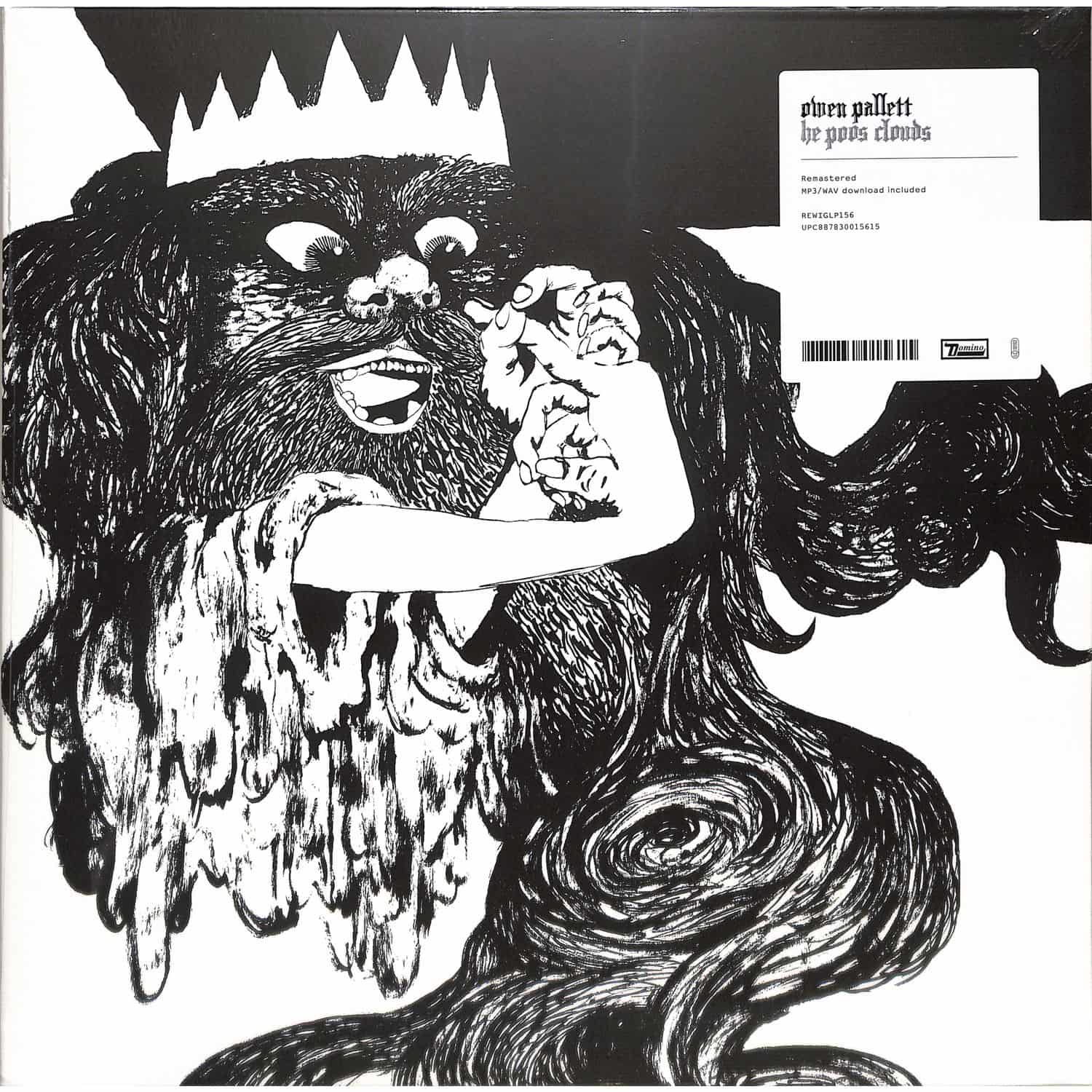  Owen Pallett - HE POOS CLOUDS 