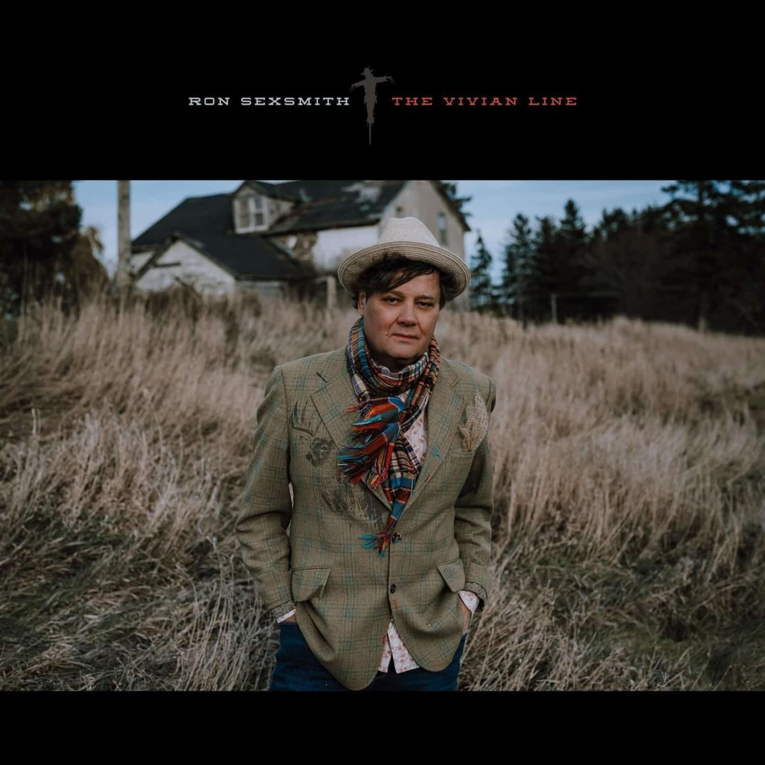  Ron Sexsmith - THE VIVIAN LINE 