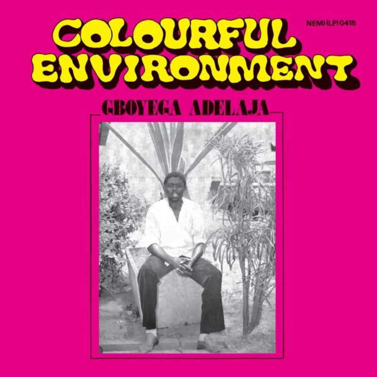 Gboyega Adelaja - COLOURFUL ENVIRONMENT 