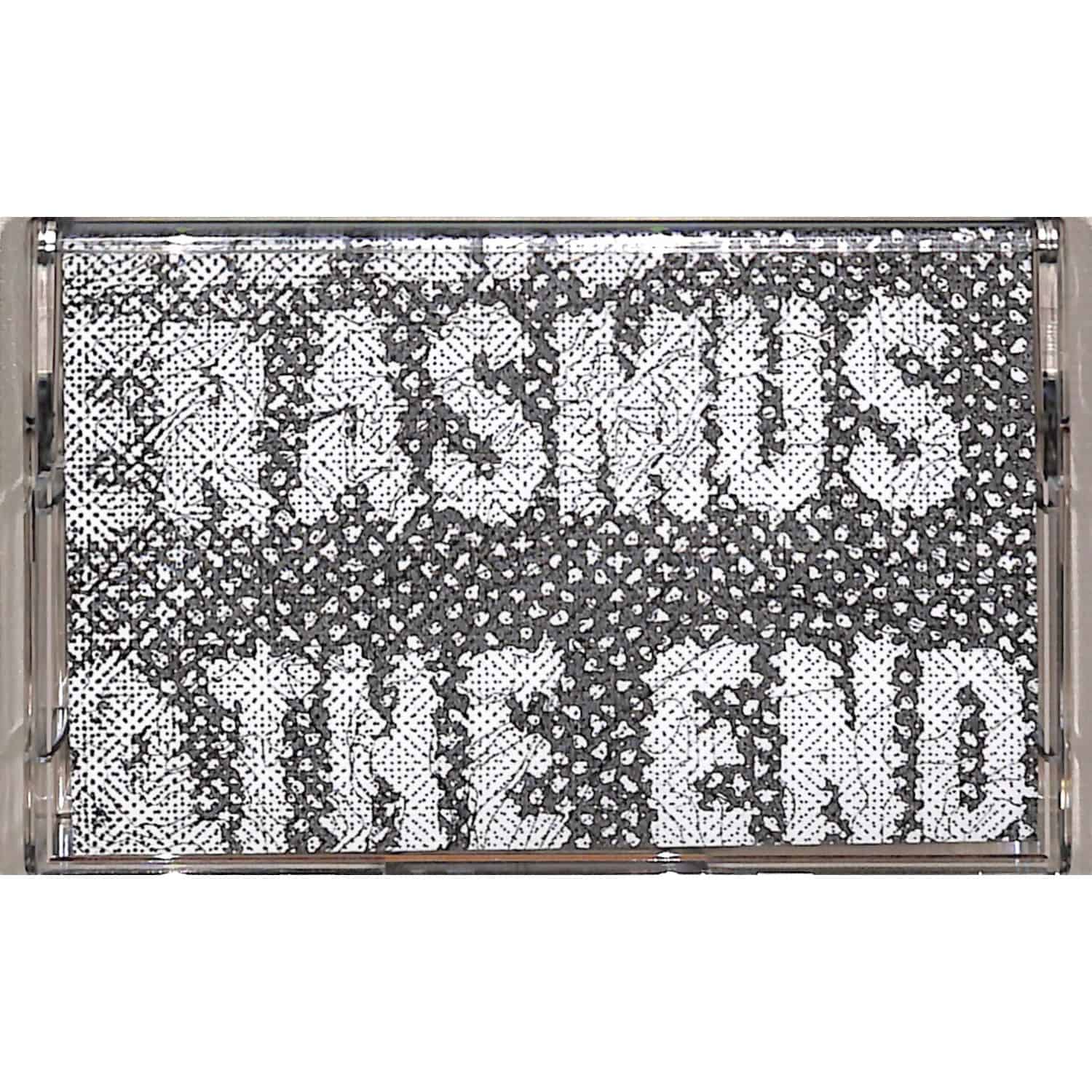 Giulio Erasmus & The End Of The Worm - LIVE AT MEAKUSMA FESTIVAL 2024 