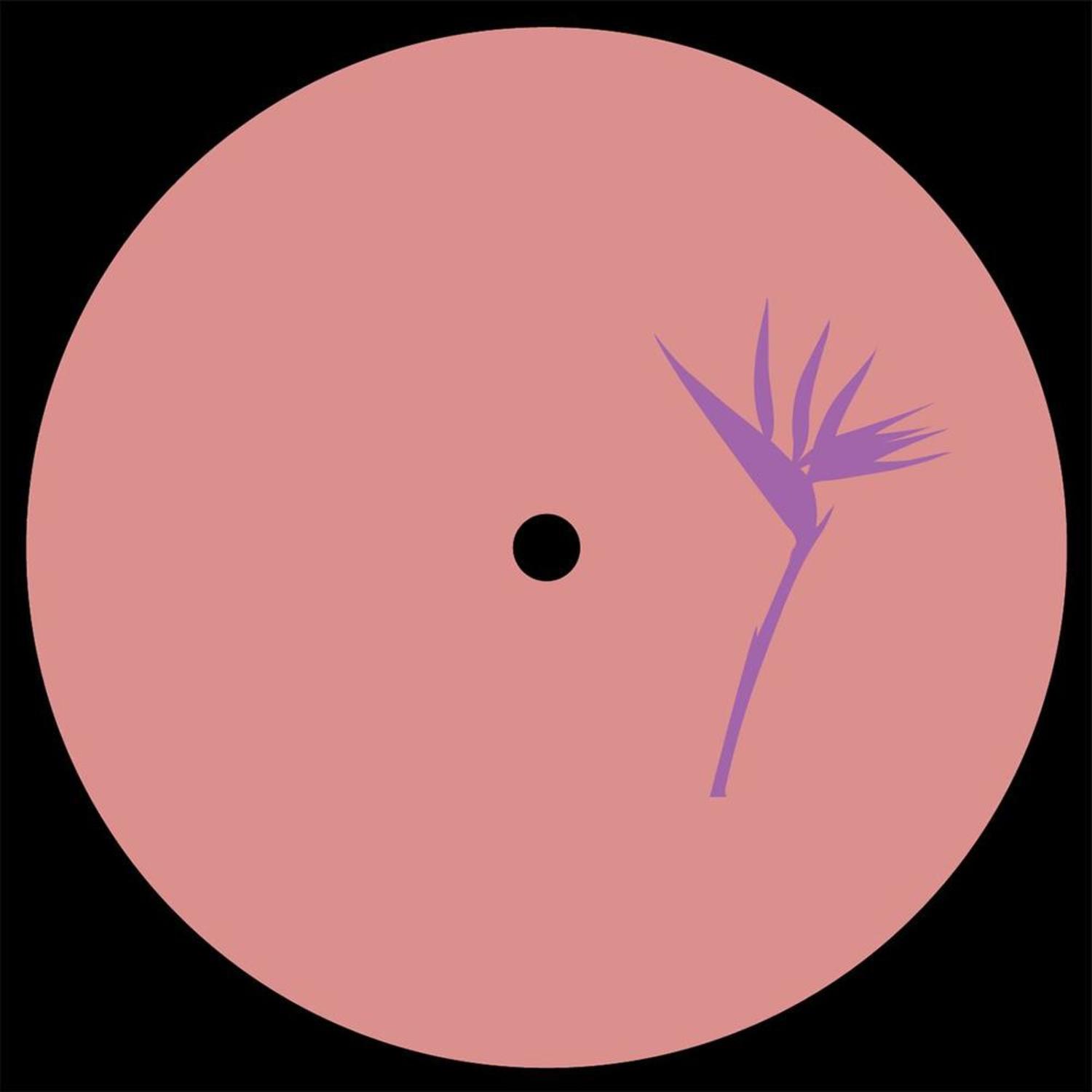 Daniel Meister - LANAO IZANY EP 
