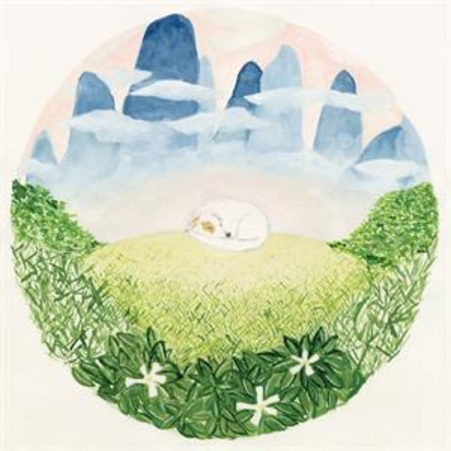Ben Hackett - SONGS FOR SLEEPING DOGS 
