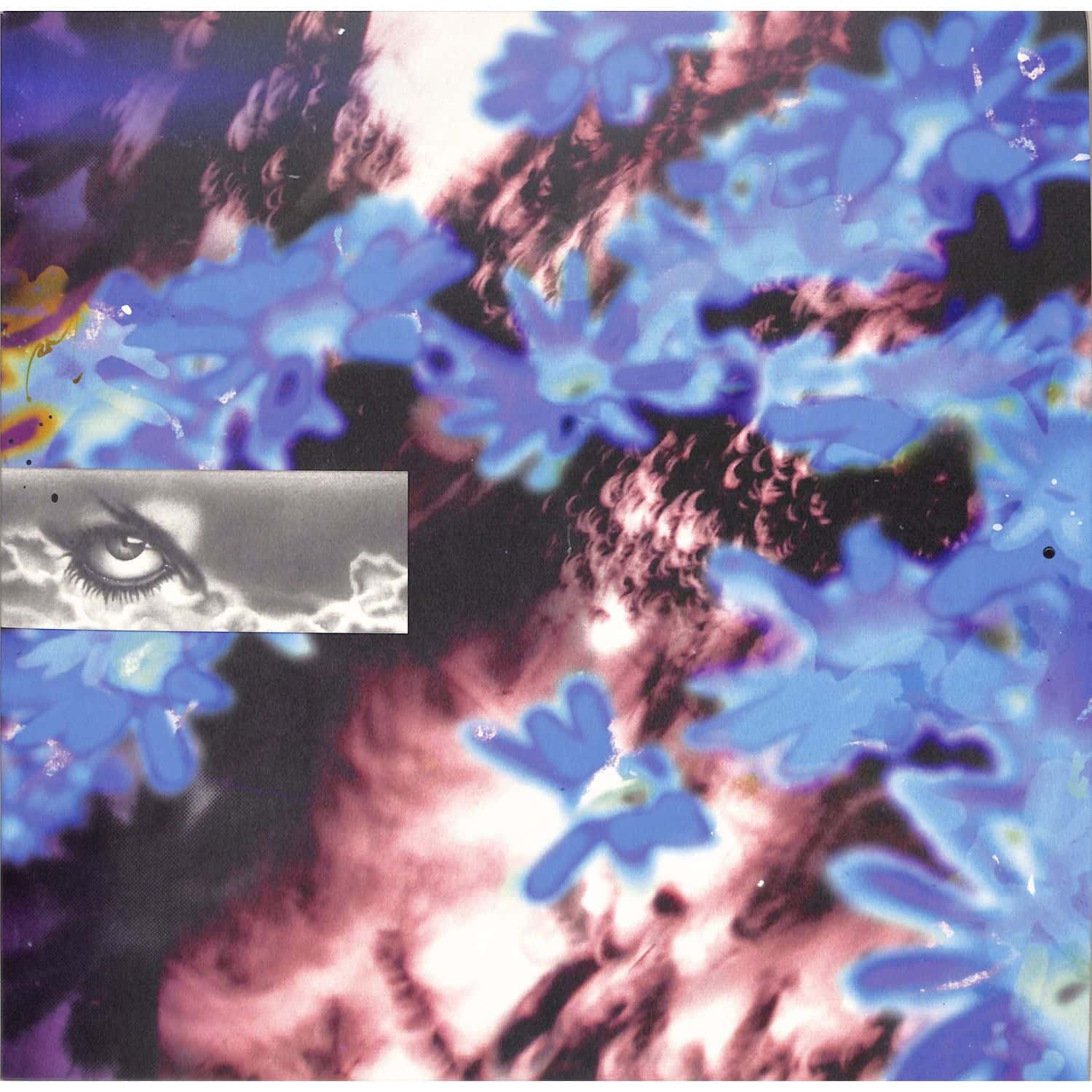 Zara - SOARING ORA