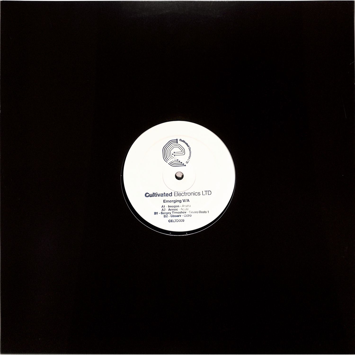 VA - EMERGING VA 