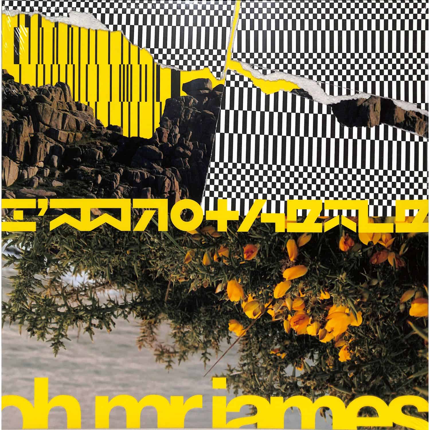 Oh Mr James - IM NOT HERE EP