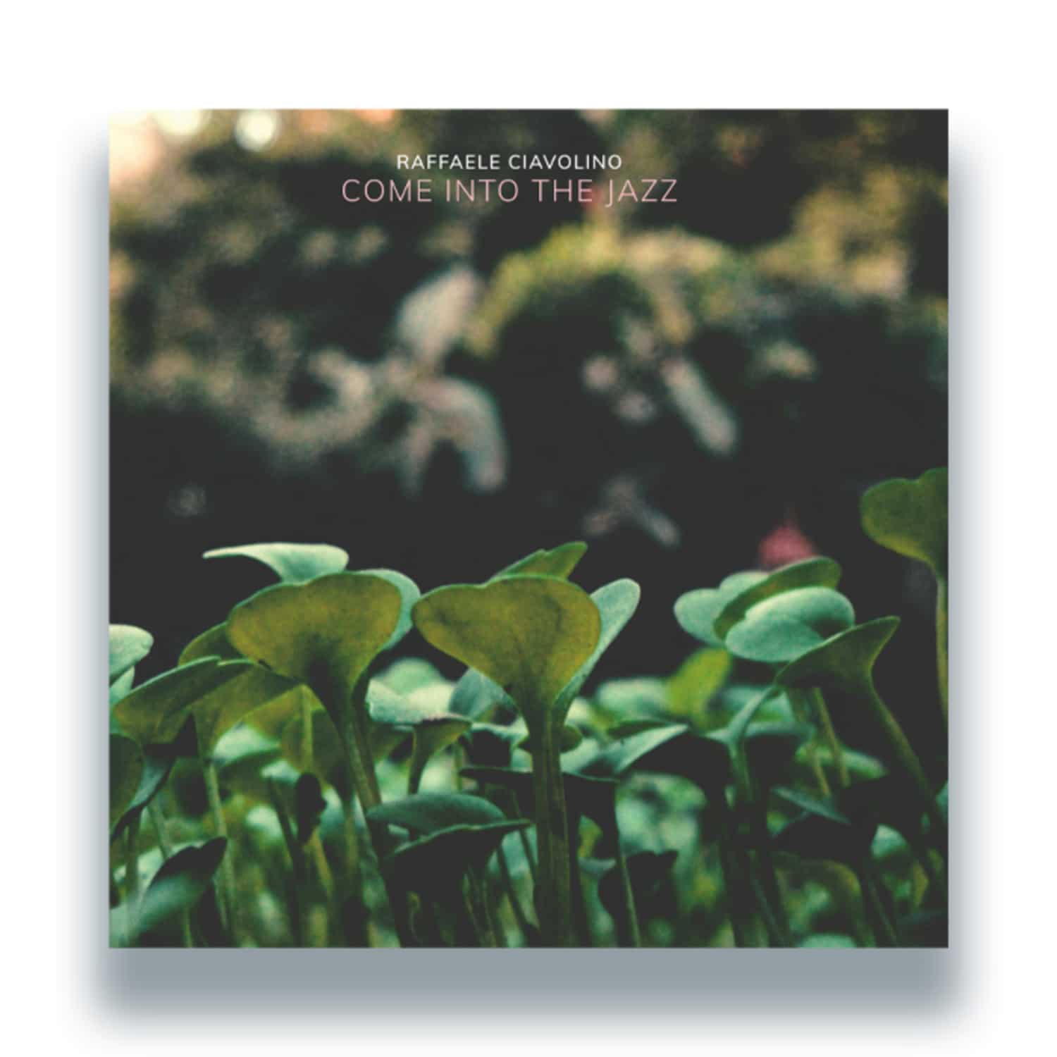 Raffaele Ciavolino - COME INTO THE JAZZ