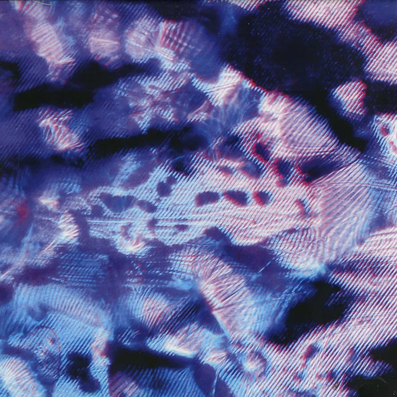 Cupp Cave - NVMB