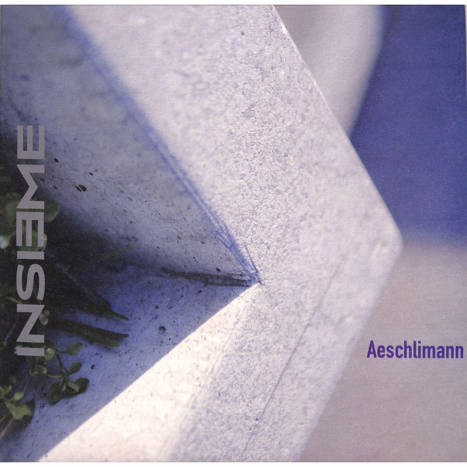 Aeschlimann - INSIEME 