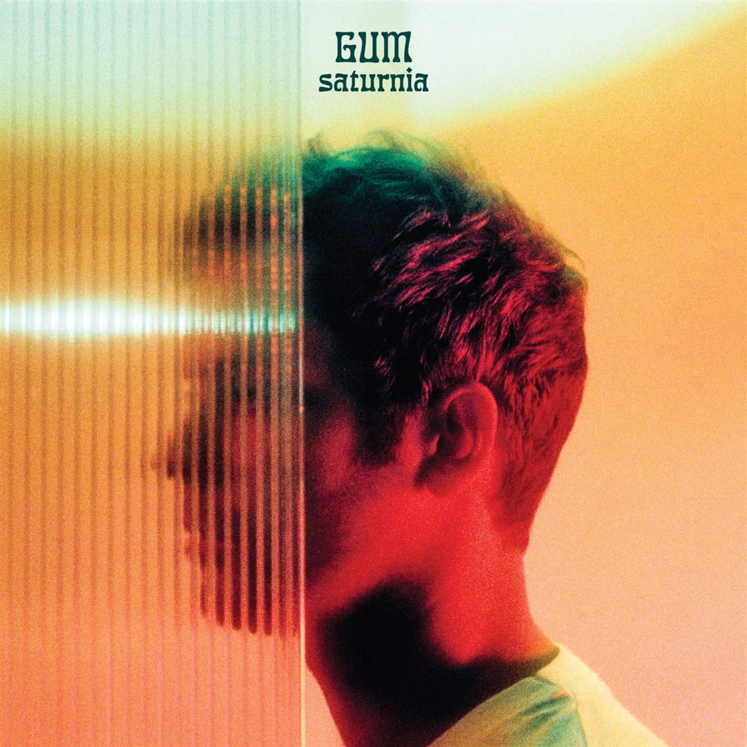 Gum - SATURNIA 