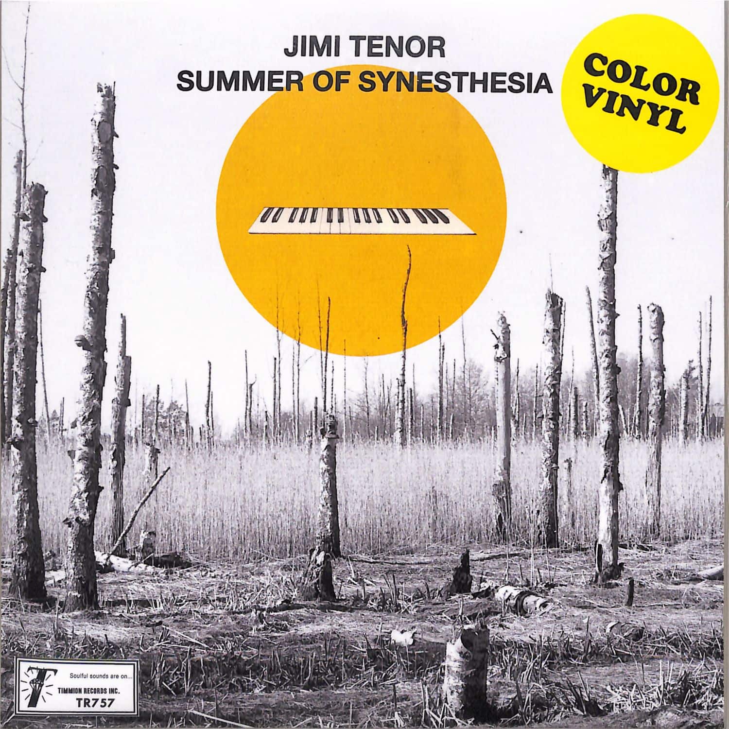 Jimi Tenor - SUMMER OF SYNESTHESIA 
