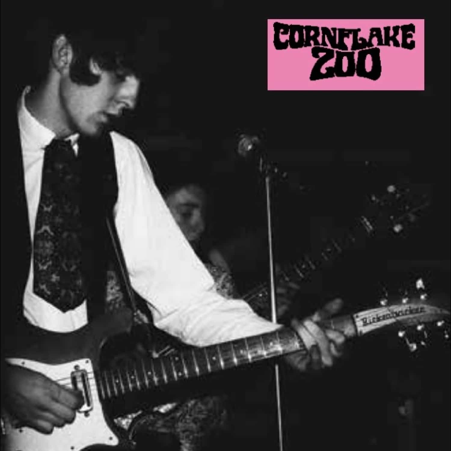 Cornflake Zoo - KNIGHTS OF FUZZ 