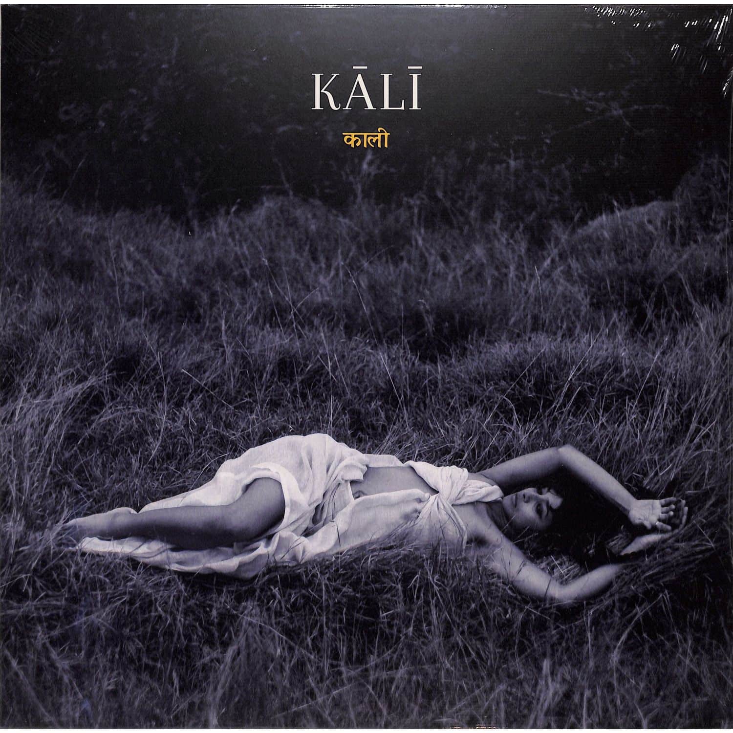 Ditty - KALI 