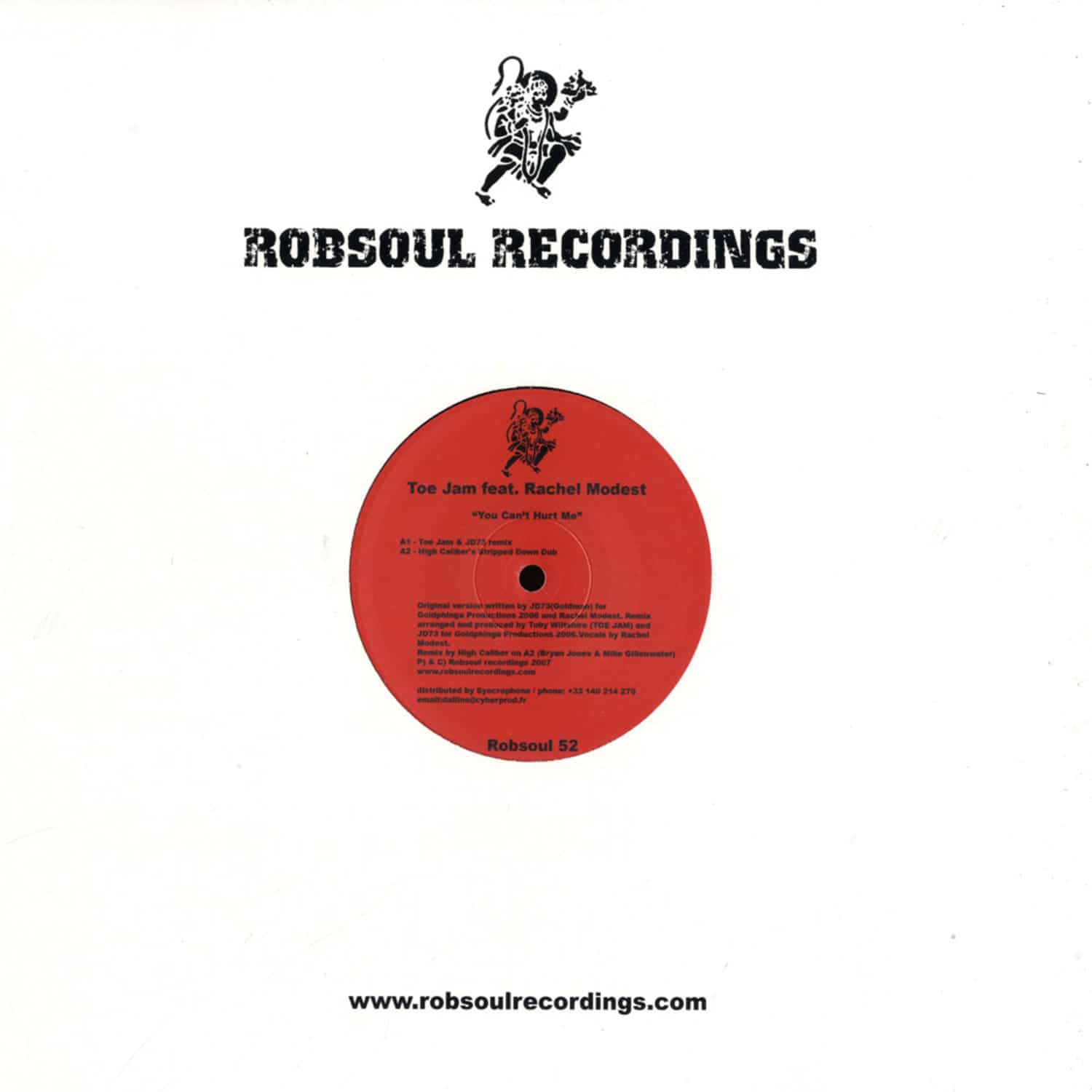 Toe Jam ft Rachel Modest - YOU CANT HURT ME / JD73 & DJ RORK RMX