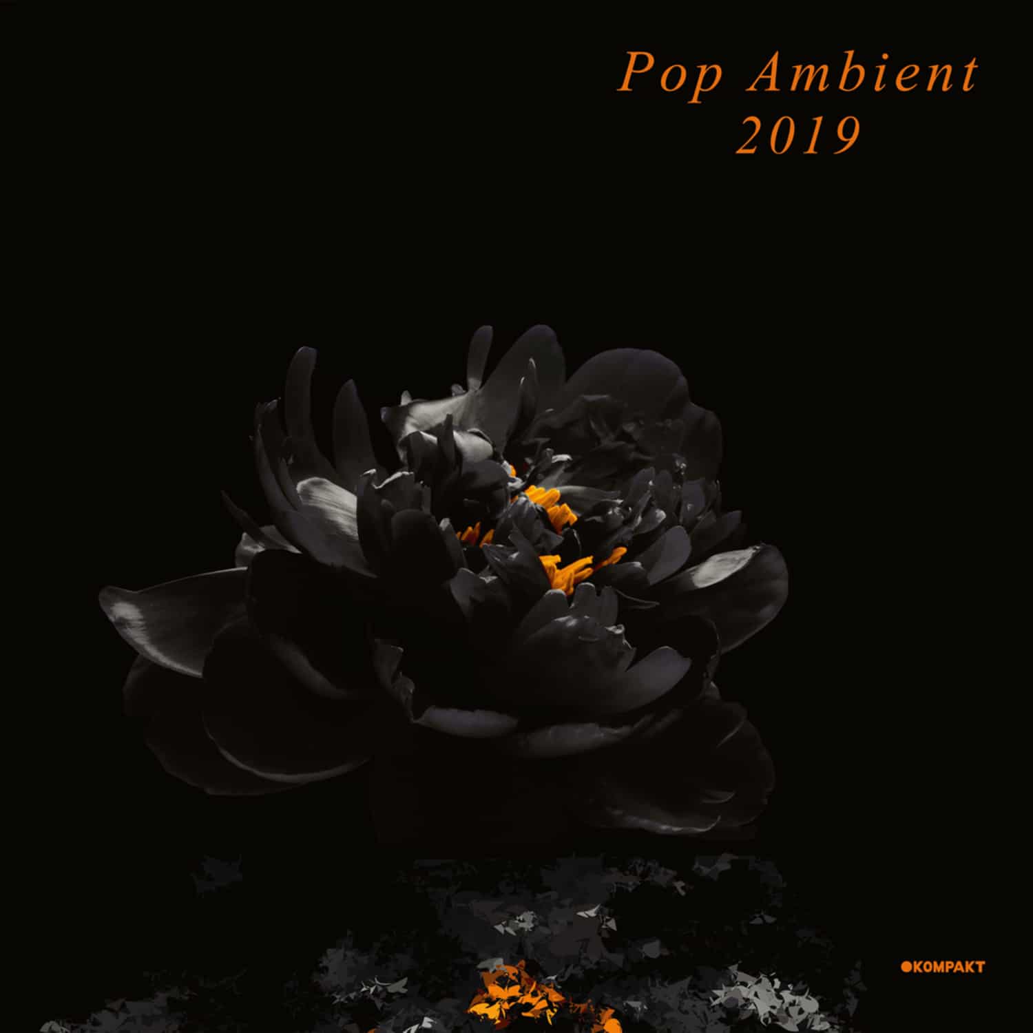 Various Artists - POP AMBIENT 2019 