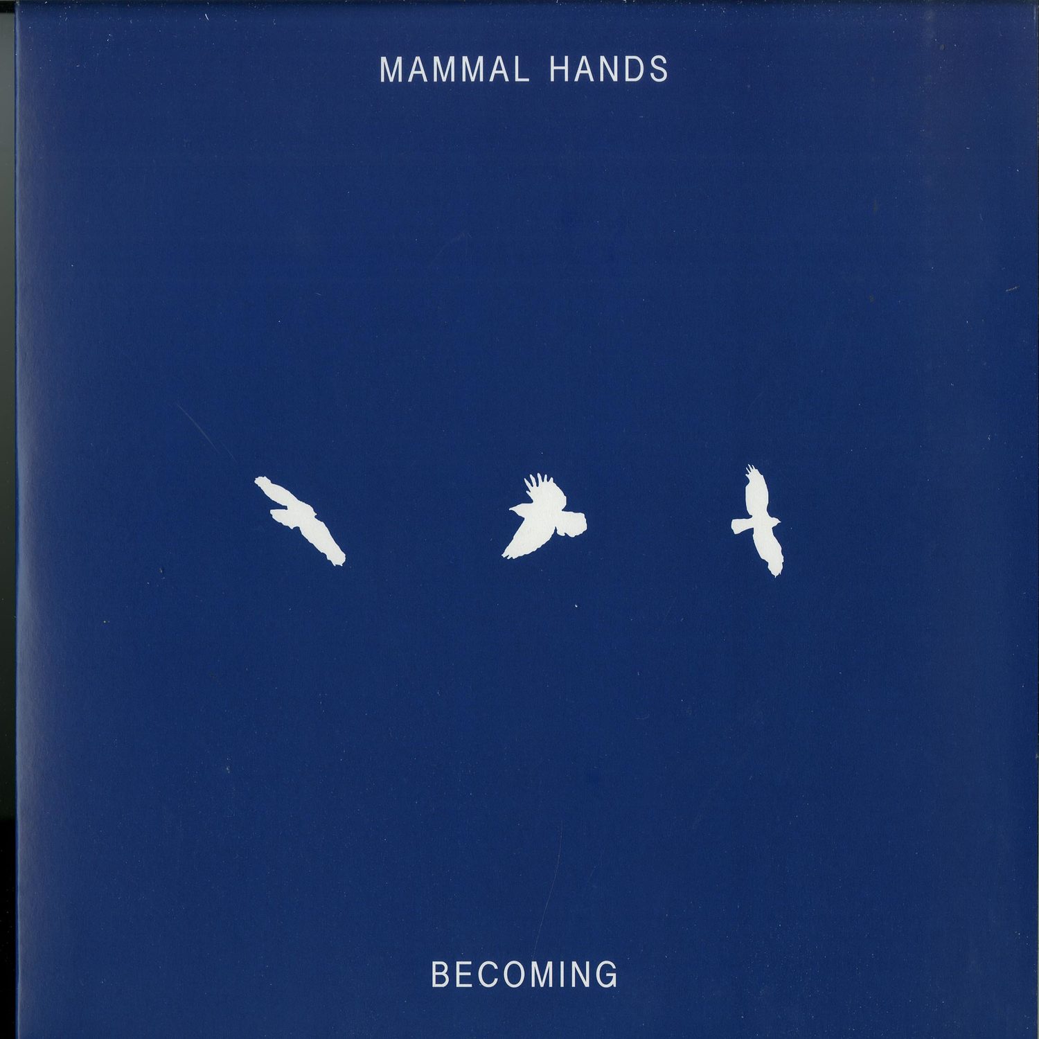 Mammal Hands - BECOMING