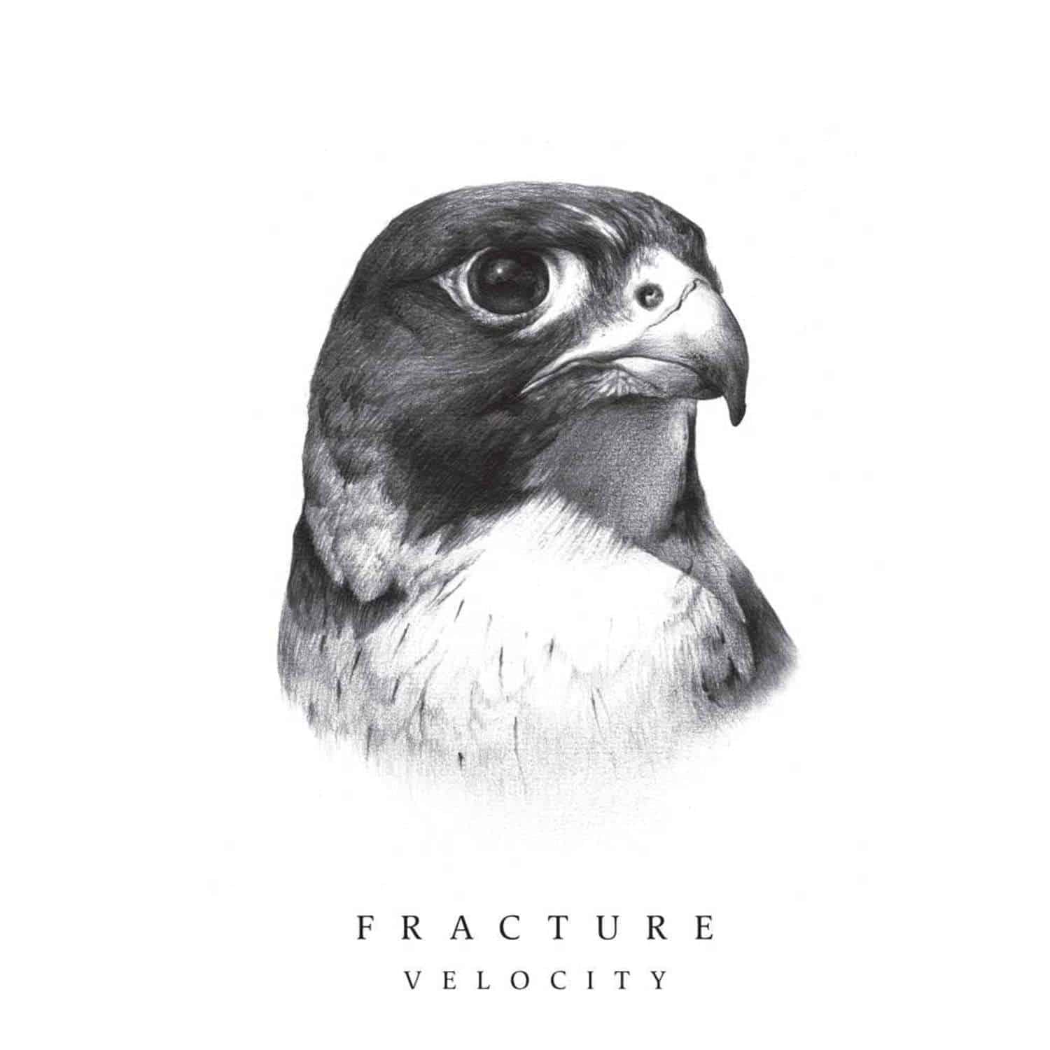 Fracture - VELOCITY EP 