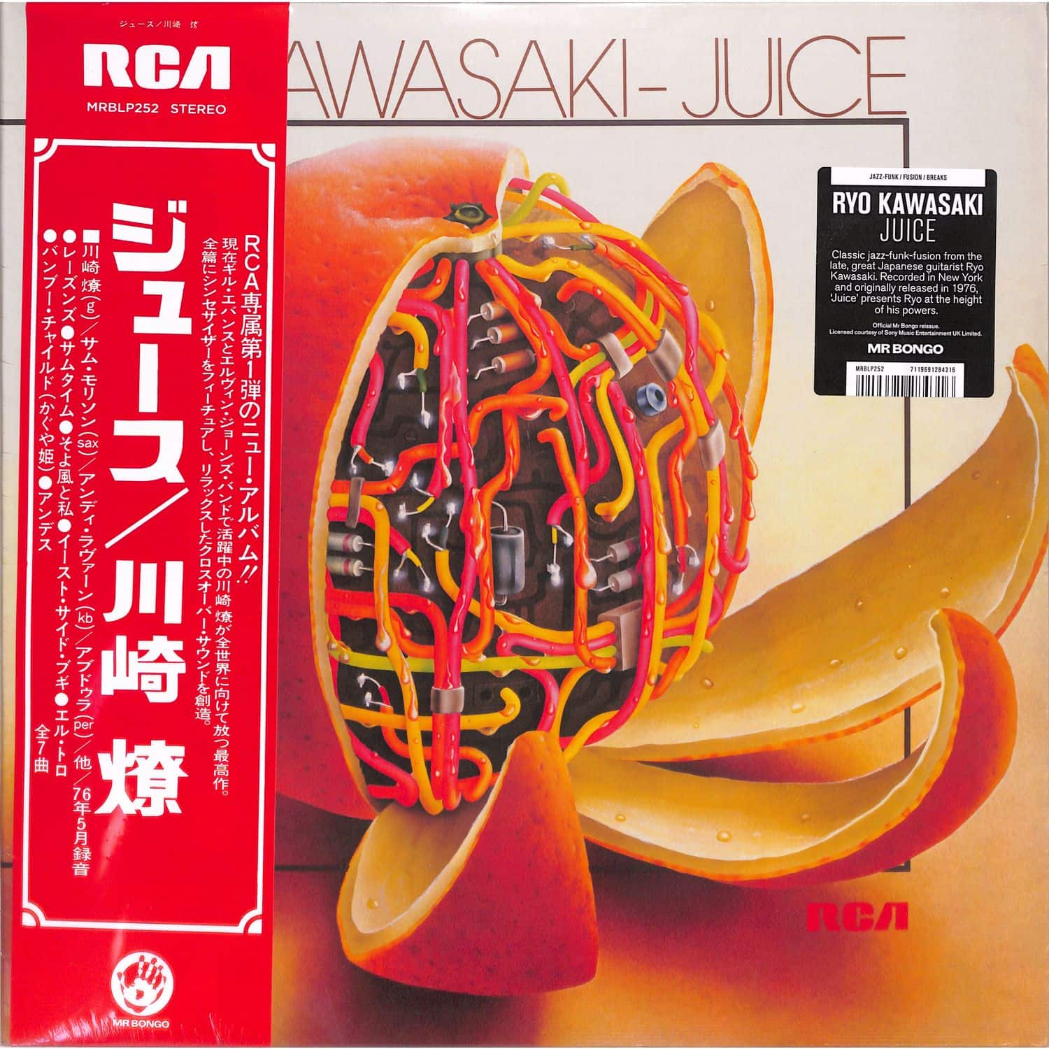 Ryo Kawasaki - JUICE 