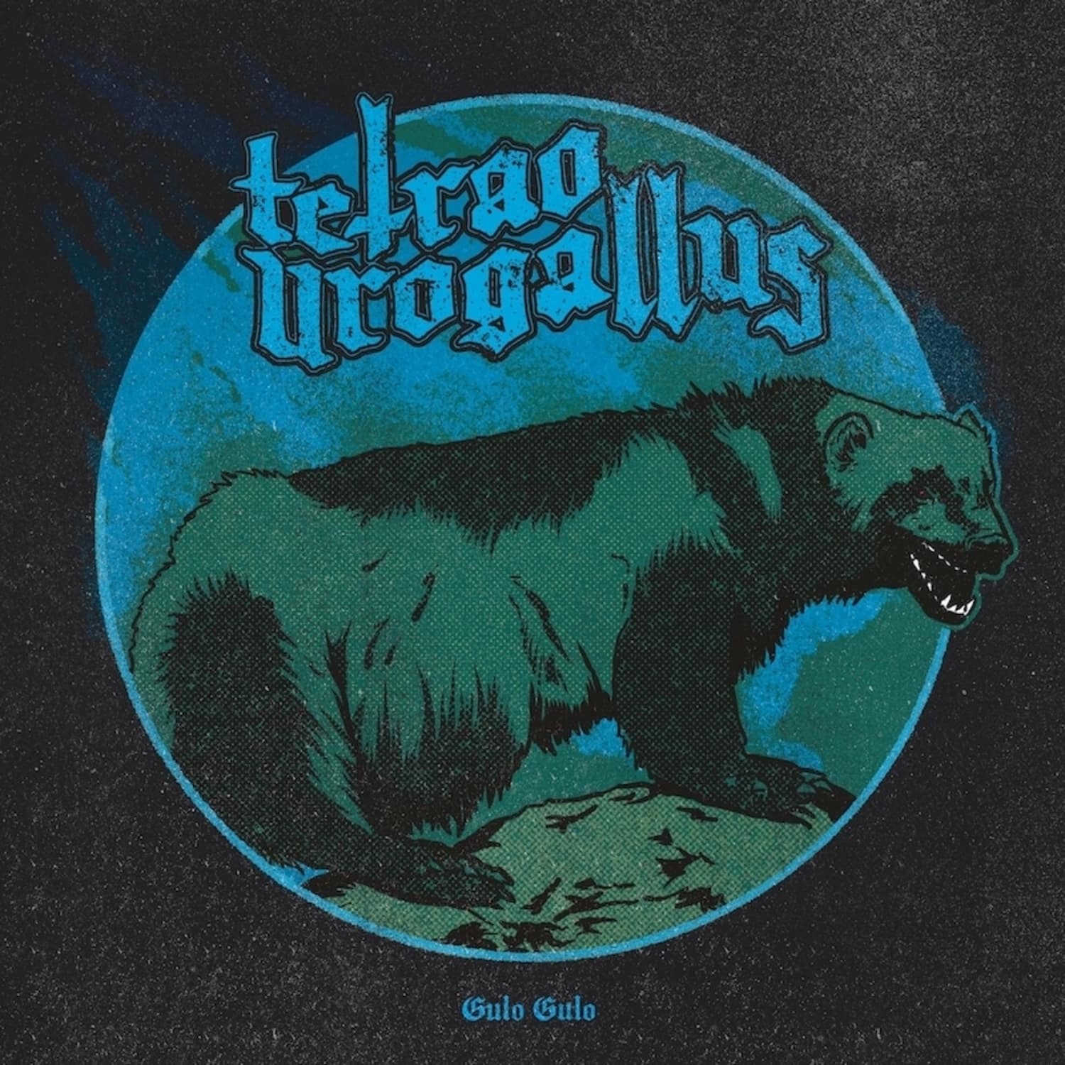 Tetrao Urogallus - GULO GULO 