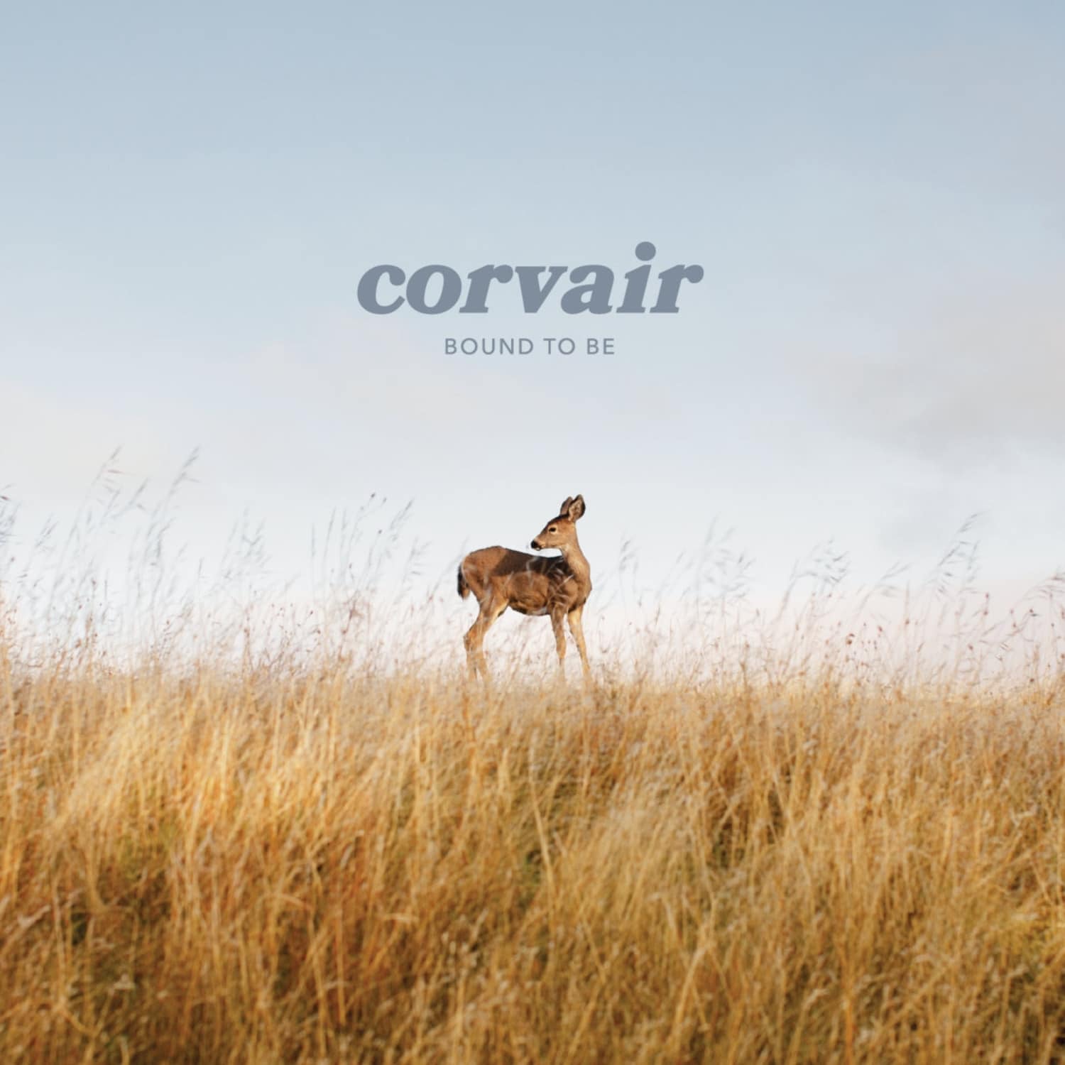 Corvair - BOUND TO BE 