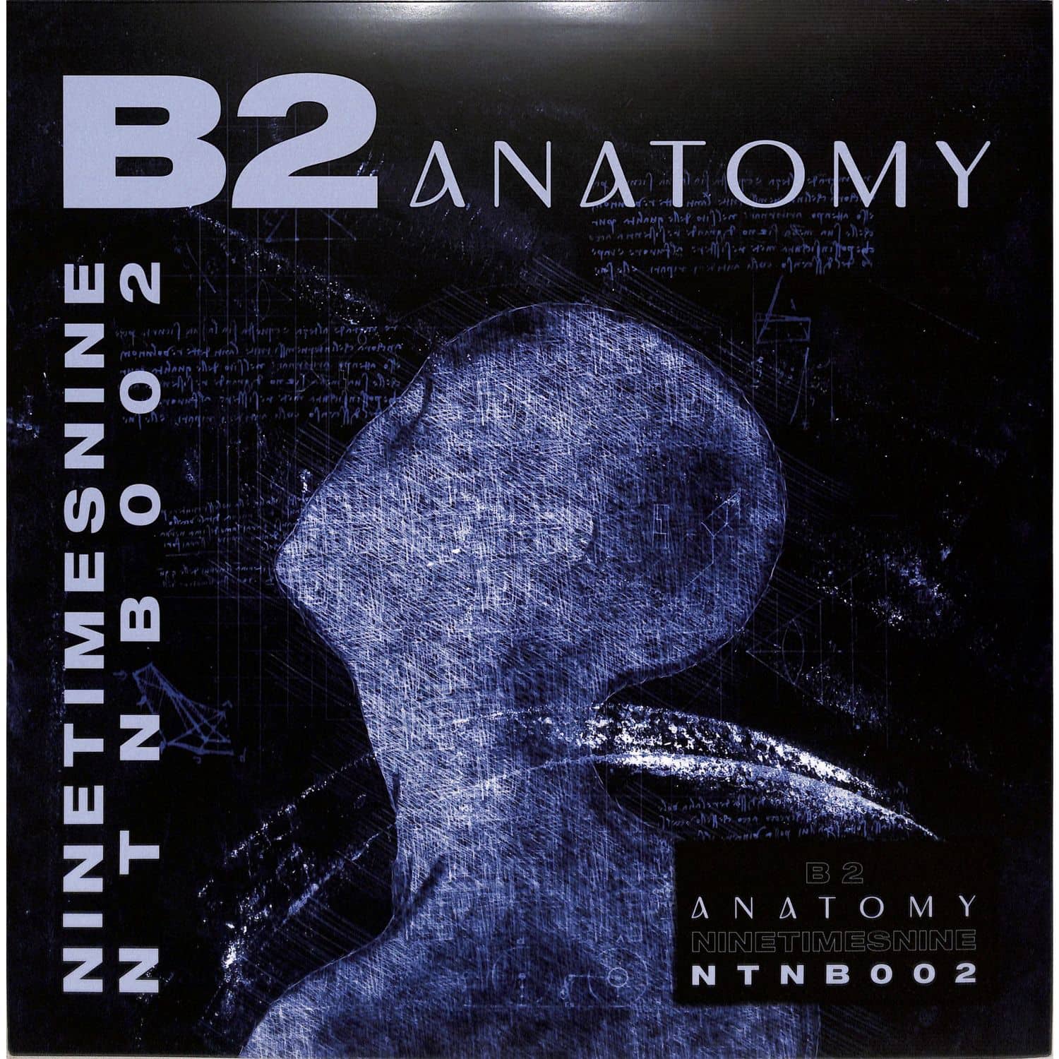 B2 - ANATOMY EP