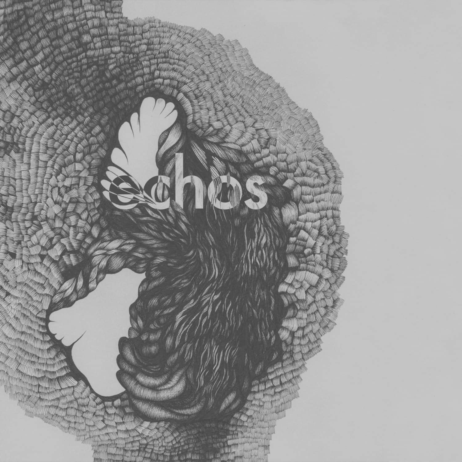 Late Night Alumni - ECHOS 