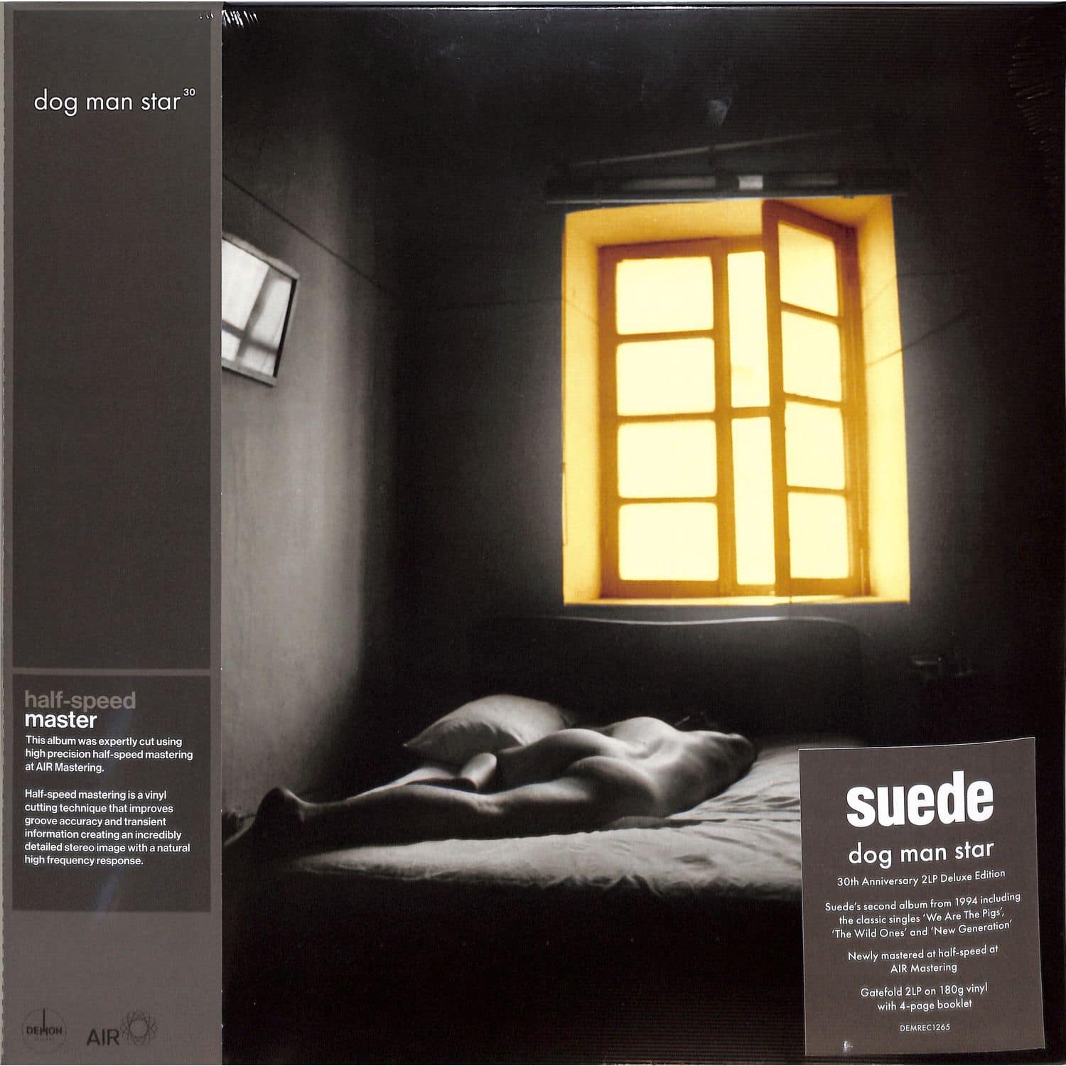 Suede - DOG MAN STAR 
