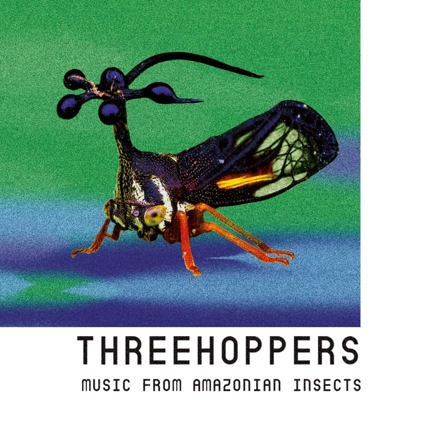 Threehoppers - THREEHOPPERS 