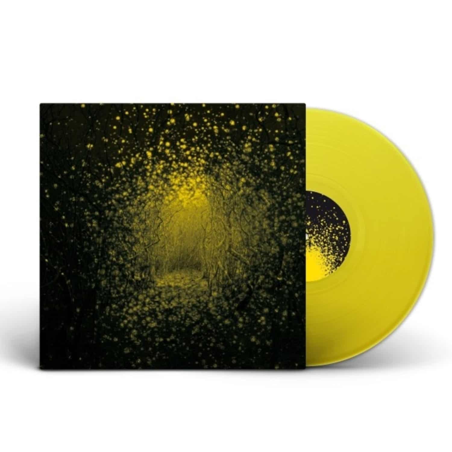 The Antlers - BURST APART 