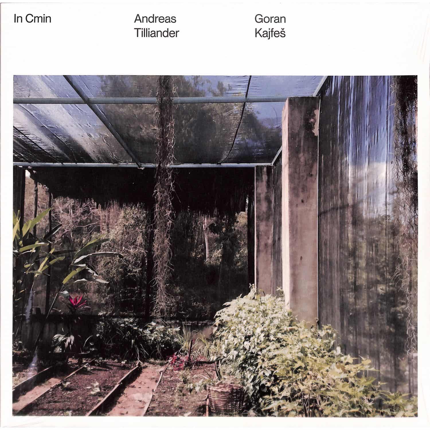 Andreas Tilliander & Goran Kajfes - IN CMIN 