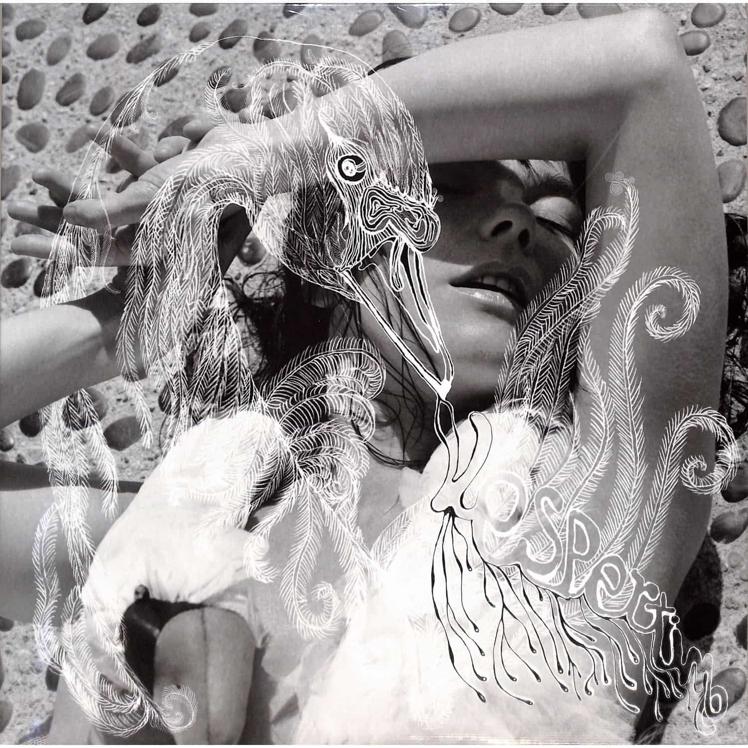 Bjork - VESPERTINE 