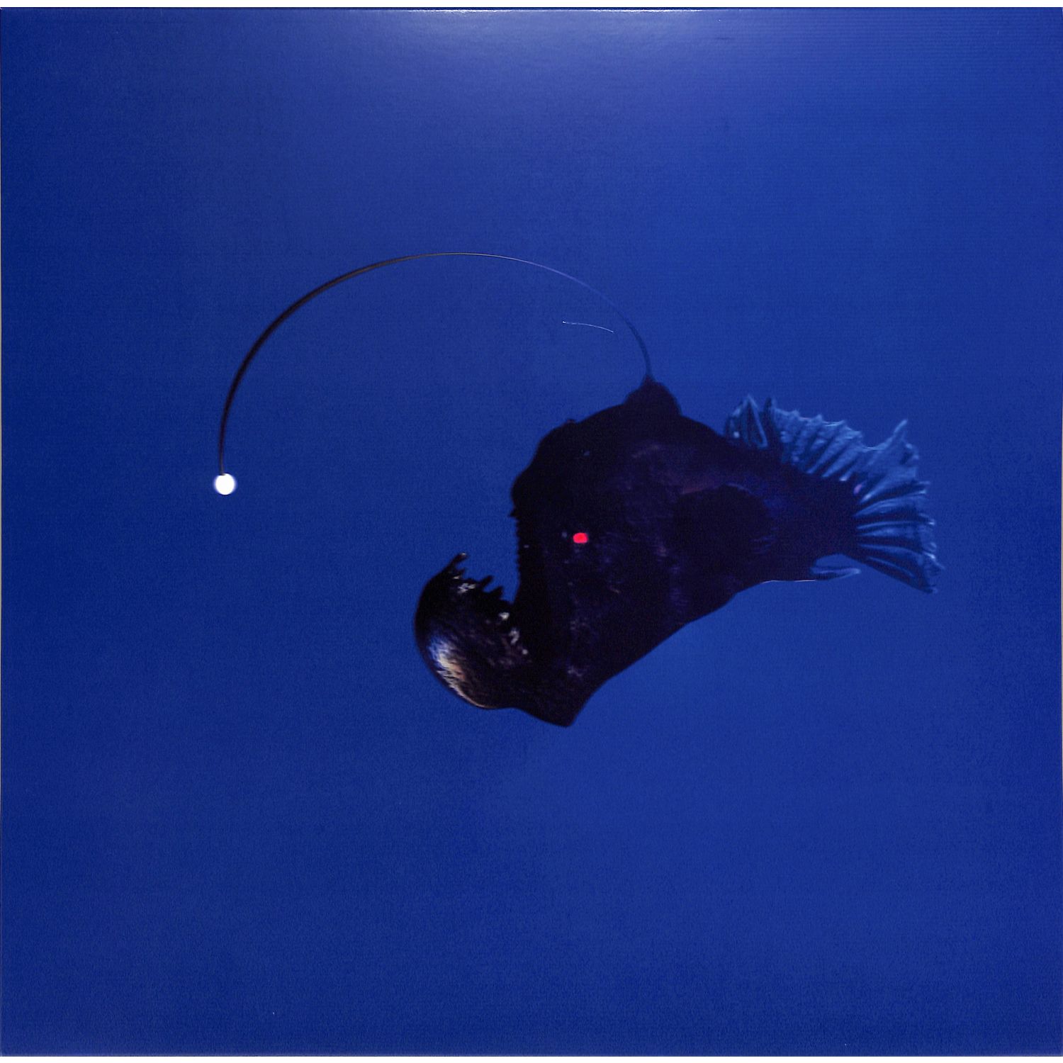 Michael Melchner - NO LIGHT BELOW
