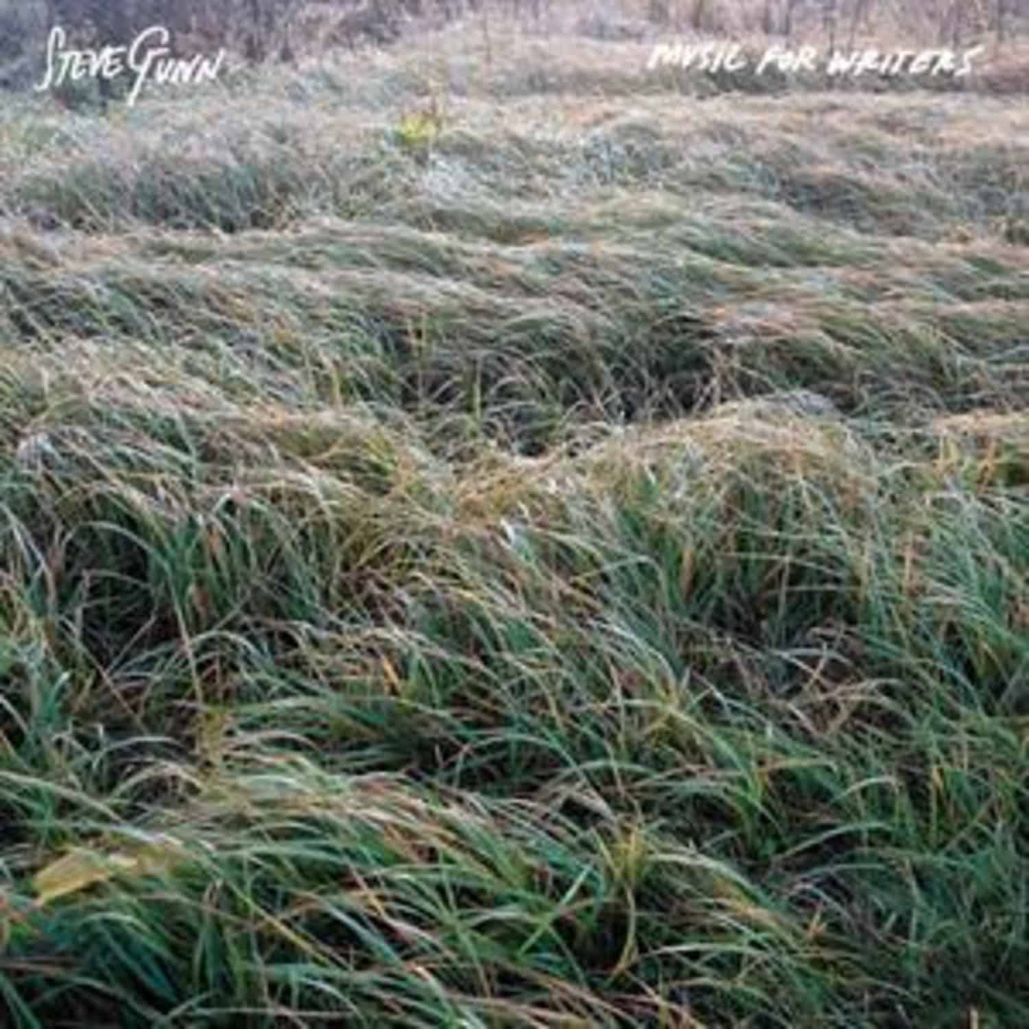 Steve Gunn - MUSIC FOR WRITERS 