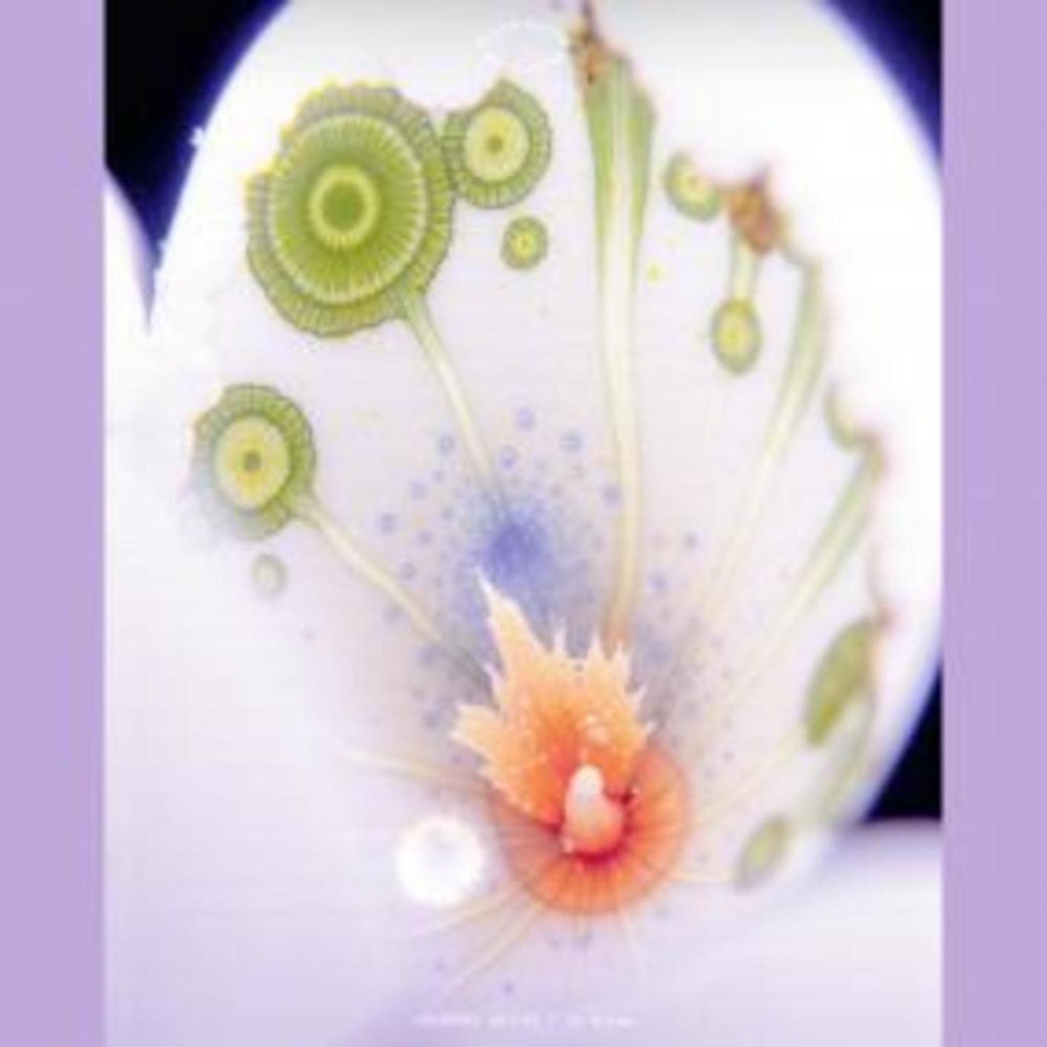 Courtney Bailey - IN DREAM 